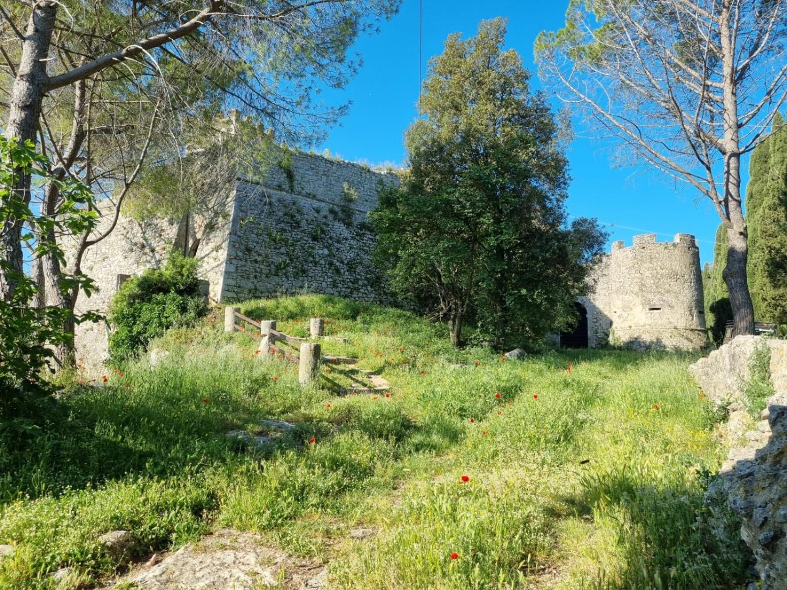 Photo 16