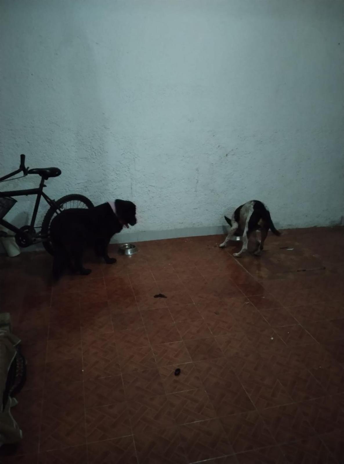 Mini Hostal Cultural de Mazatlán