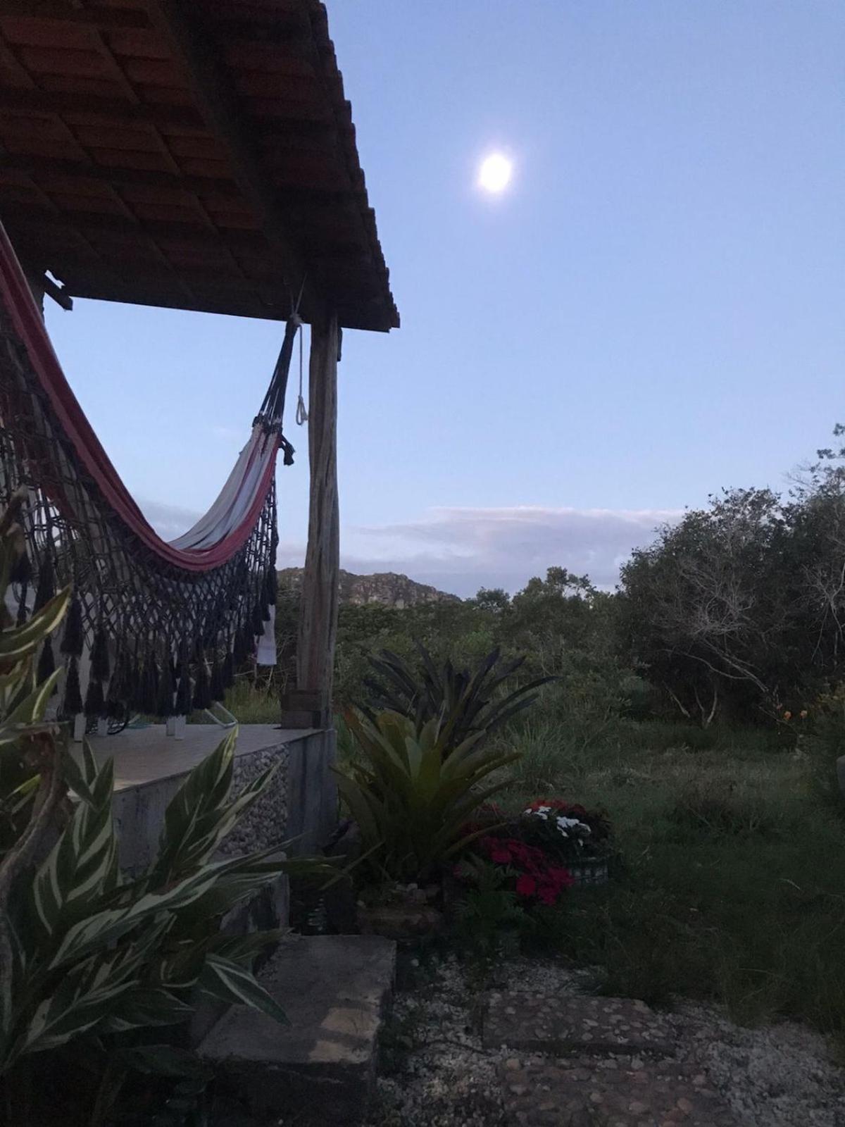 Encontro dos passaros
