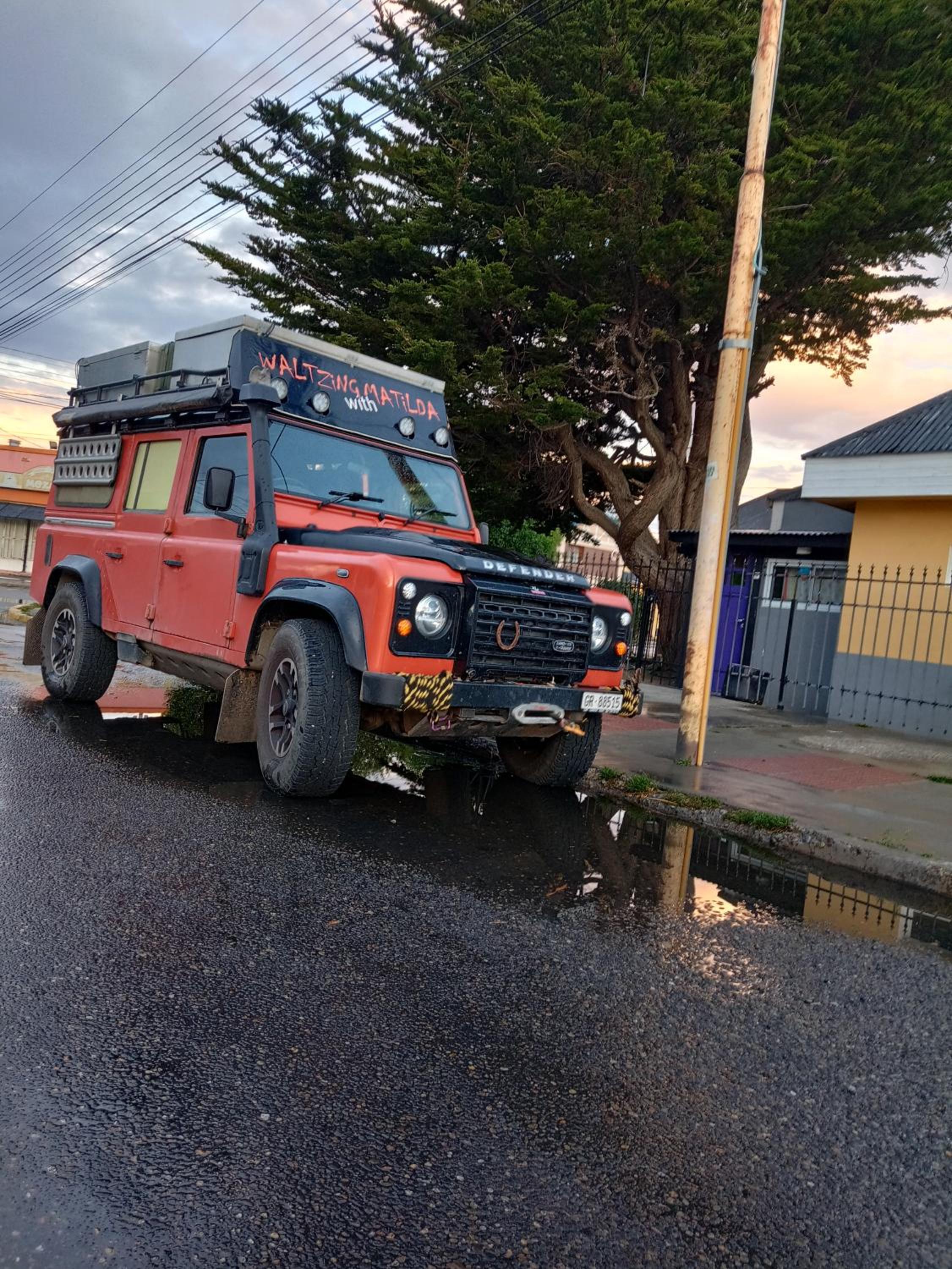 100 años ciprés
