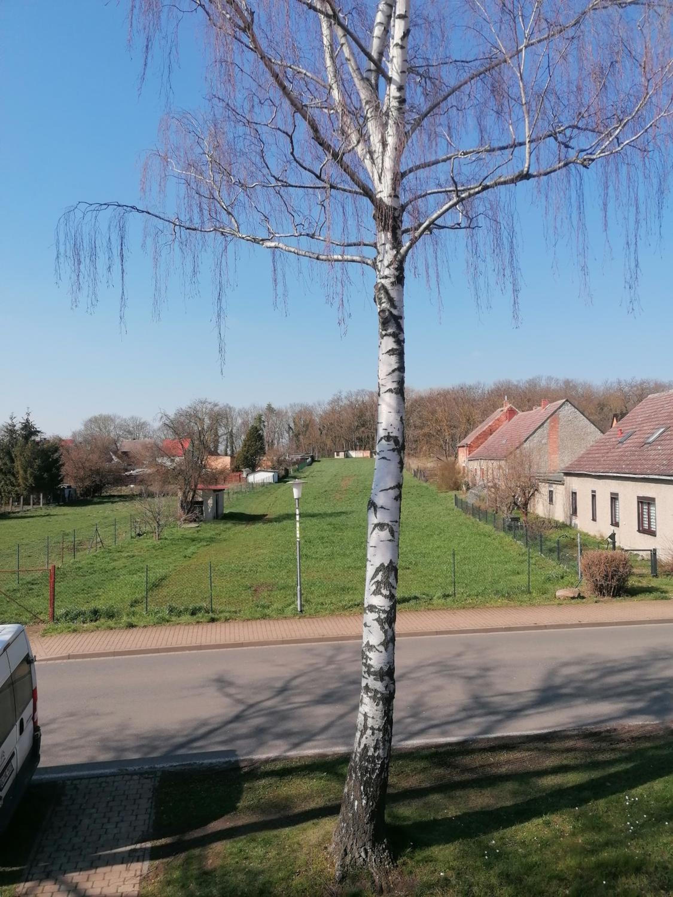 Ferienwohnung IV Sarrebriese