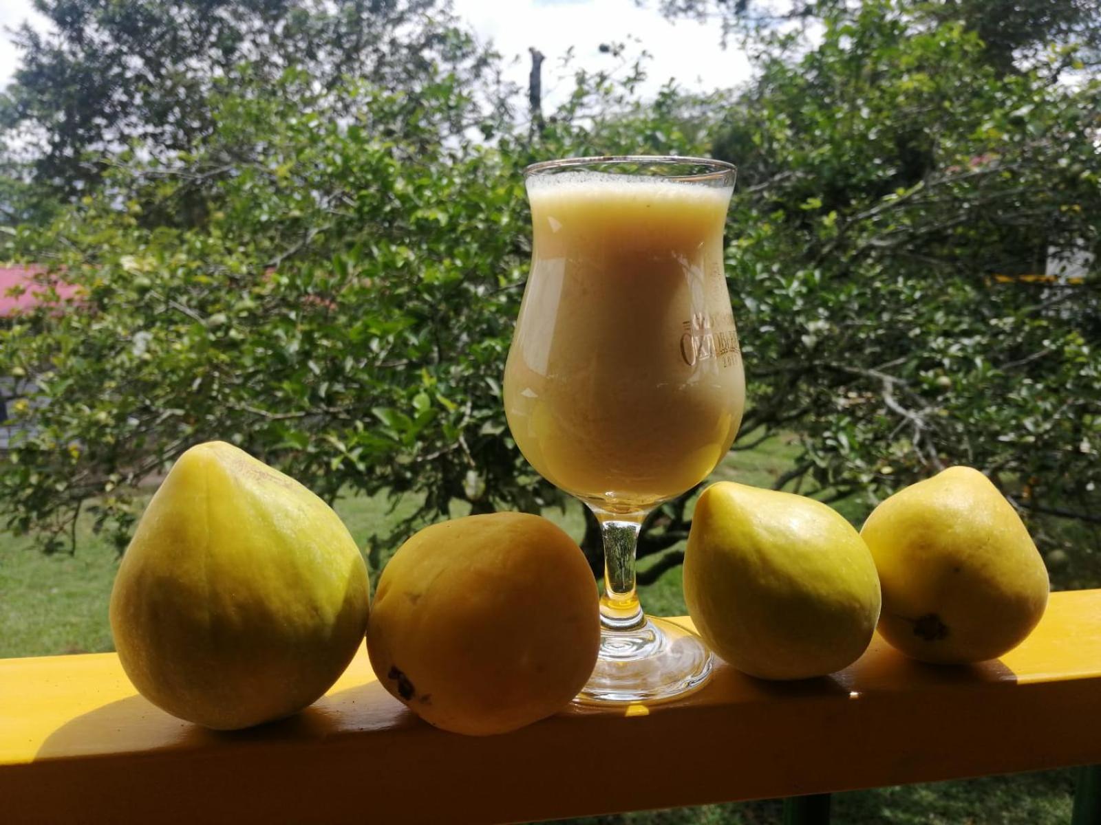 Hospedaje Rancho Guadalupe