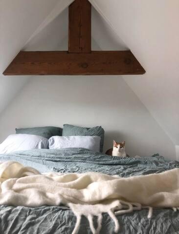 Beautiful cosy apartments in the heart of Antwerp