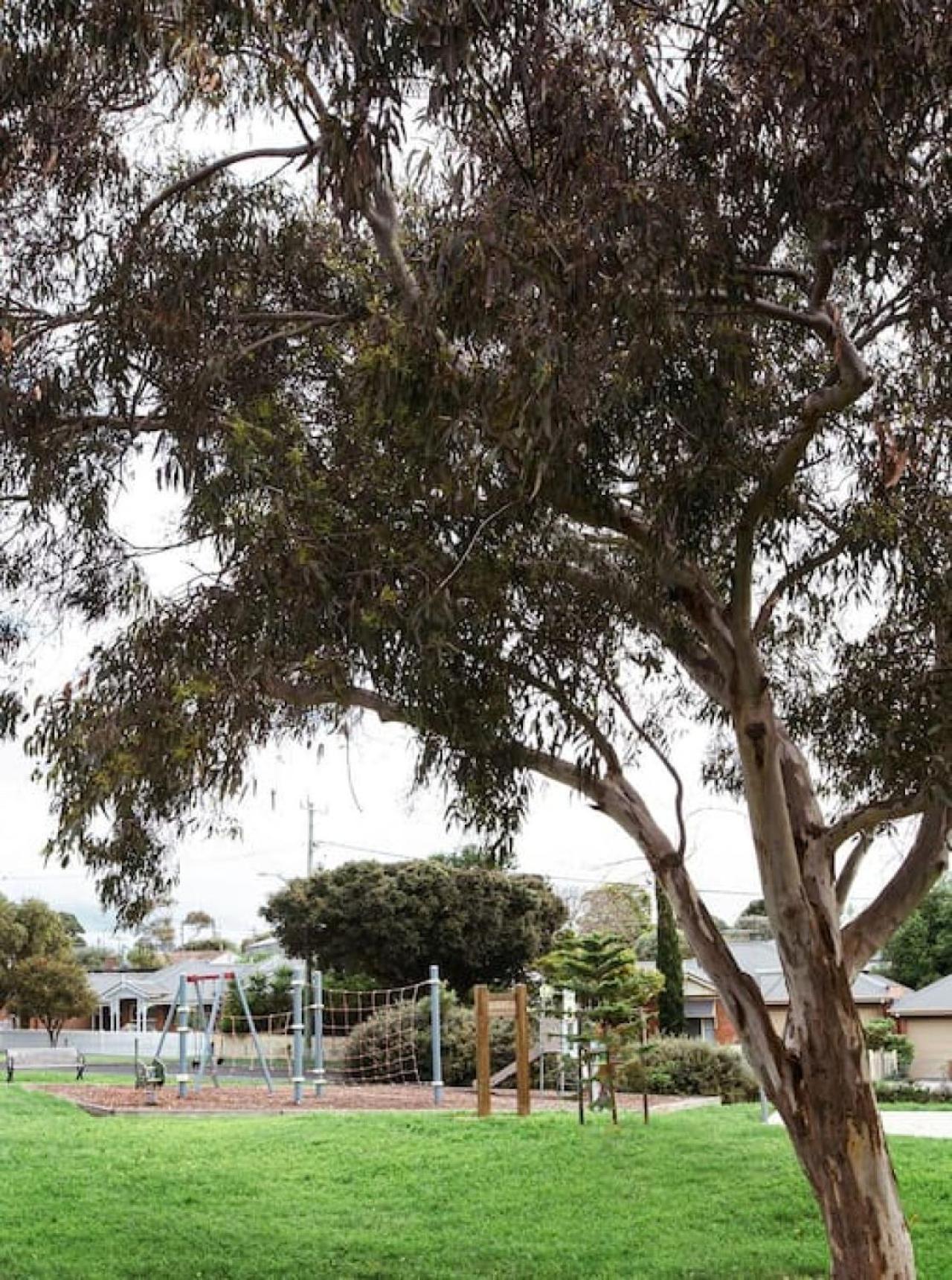 Very Cool Mid Century, Pet Friendly Urban Oasis