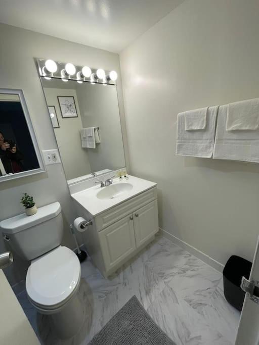 Privacy Apartment at Crystal City With Gym