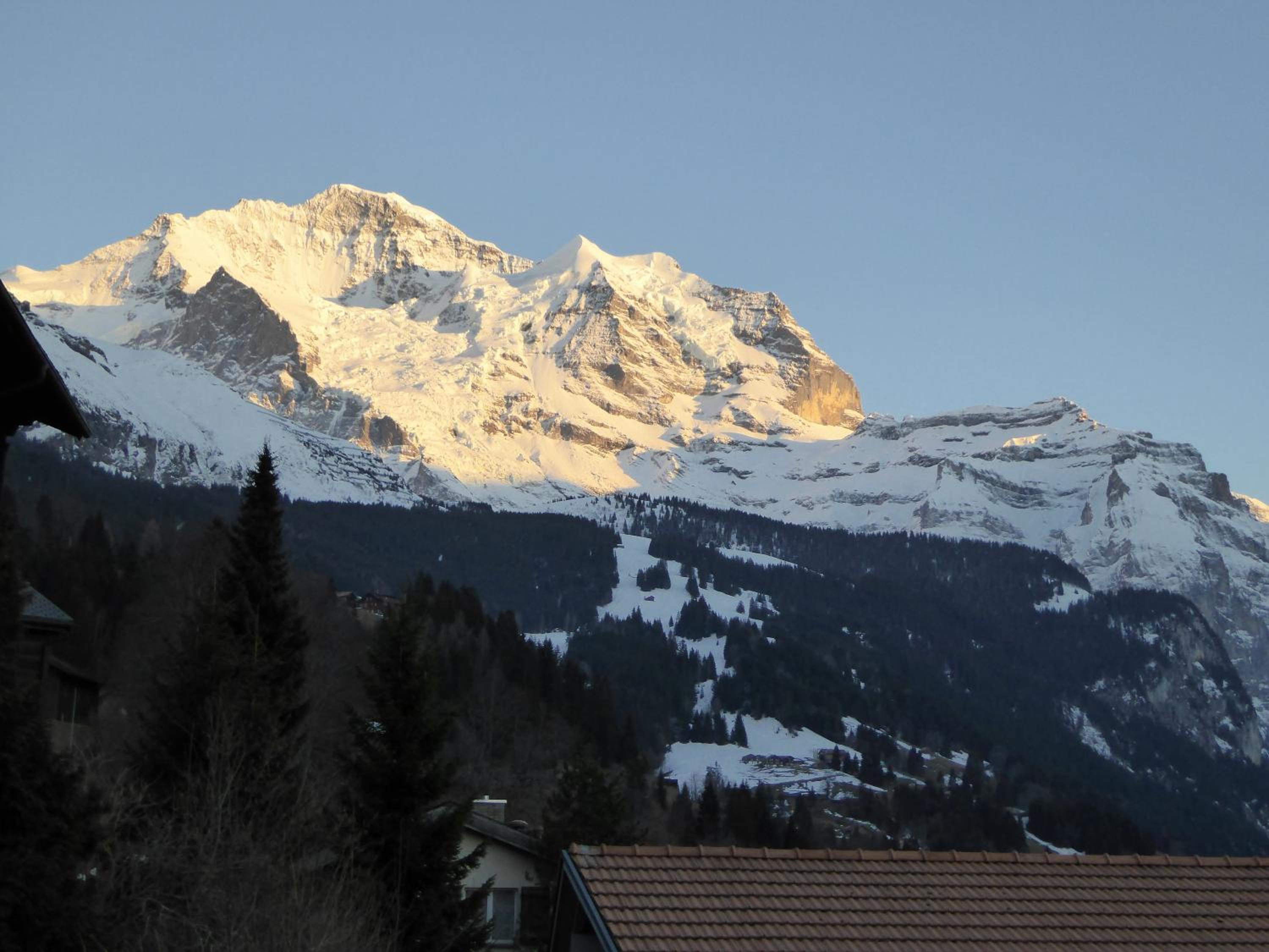 Photo 44