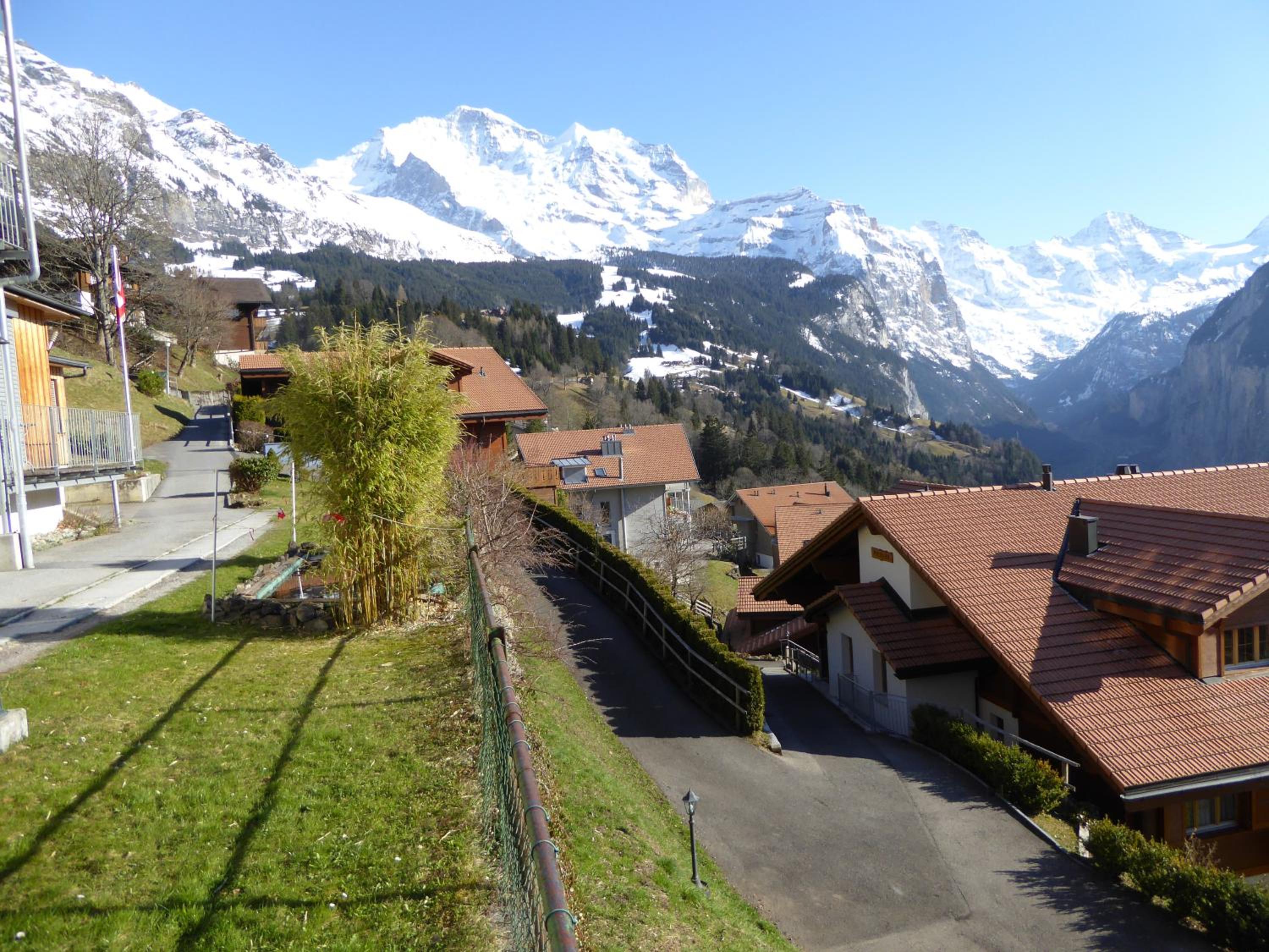 Chalet Gerbera view 5