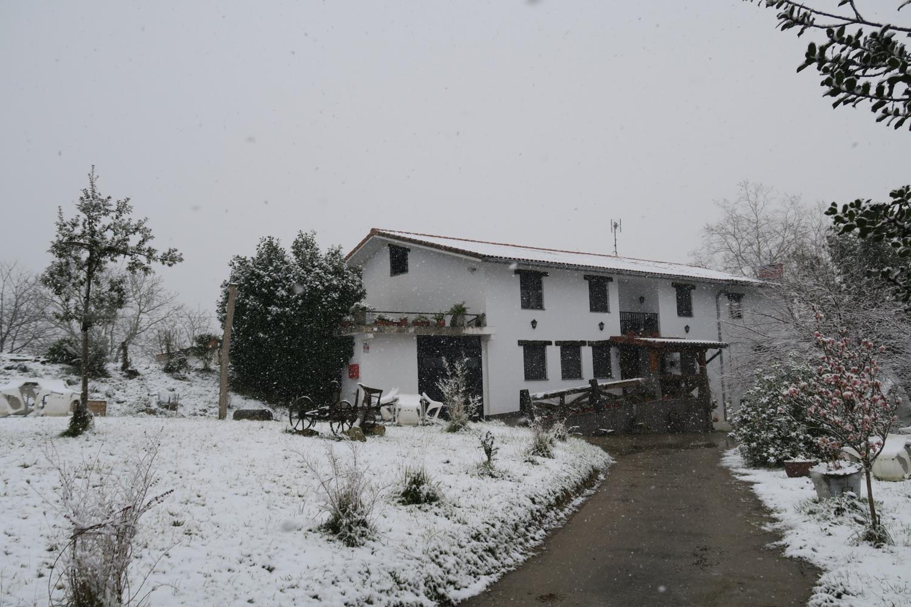 Photo 40