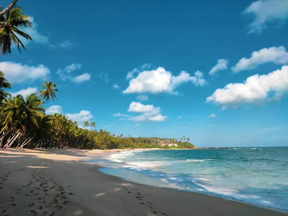 Bird House Homestays