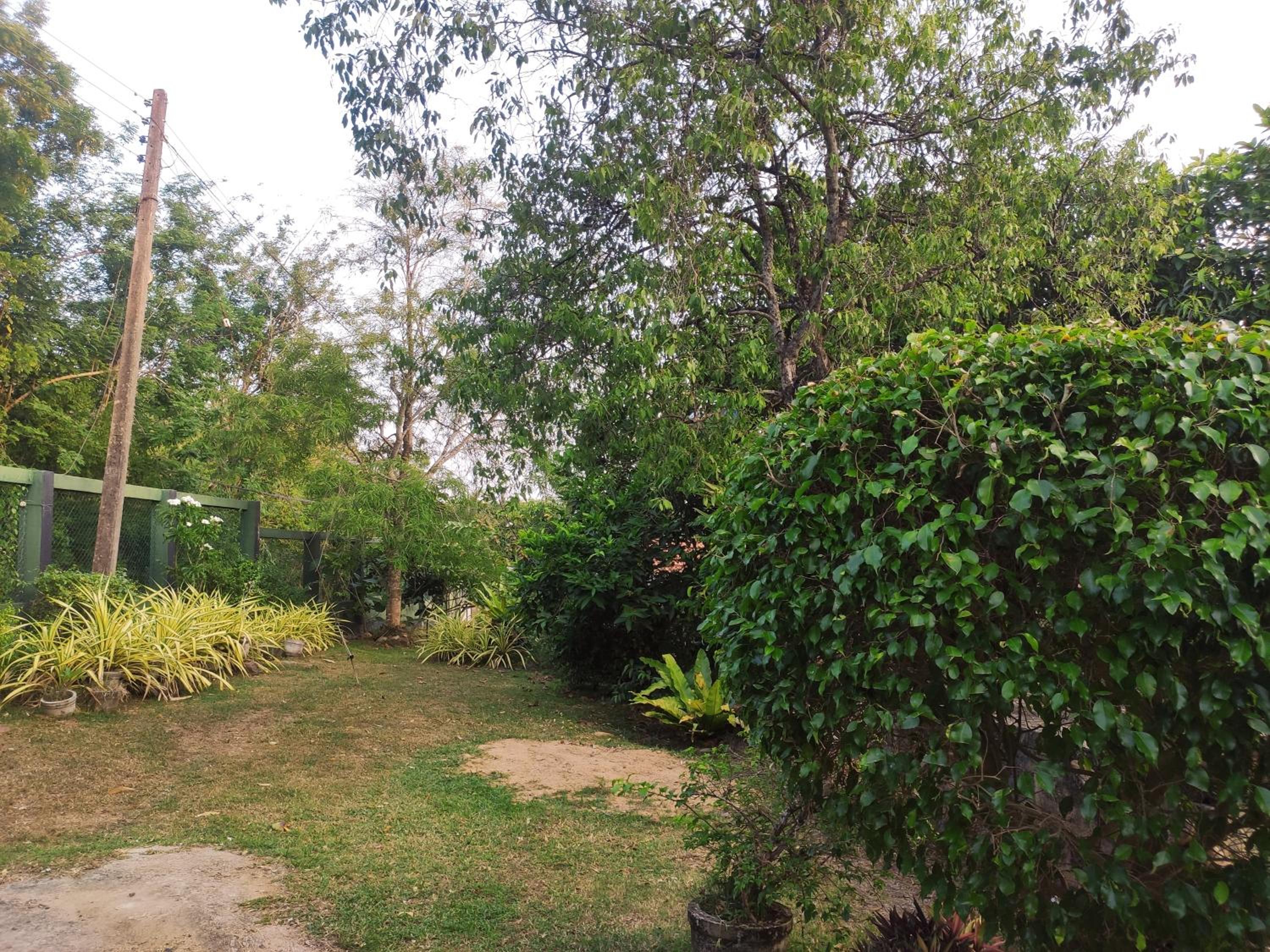 Bird House Homestays