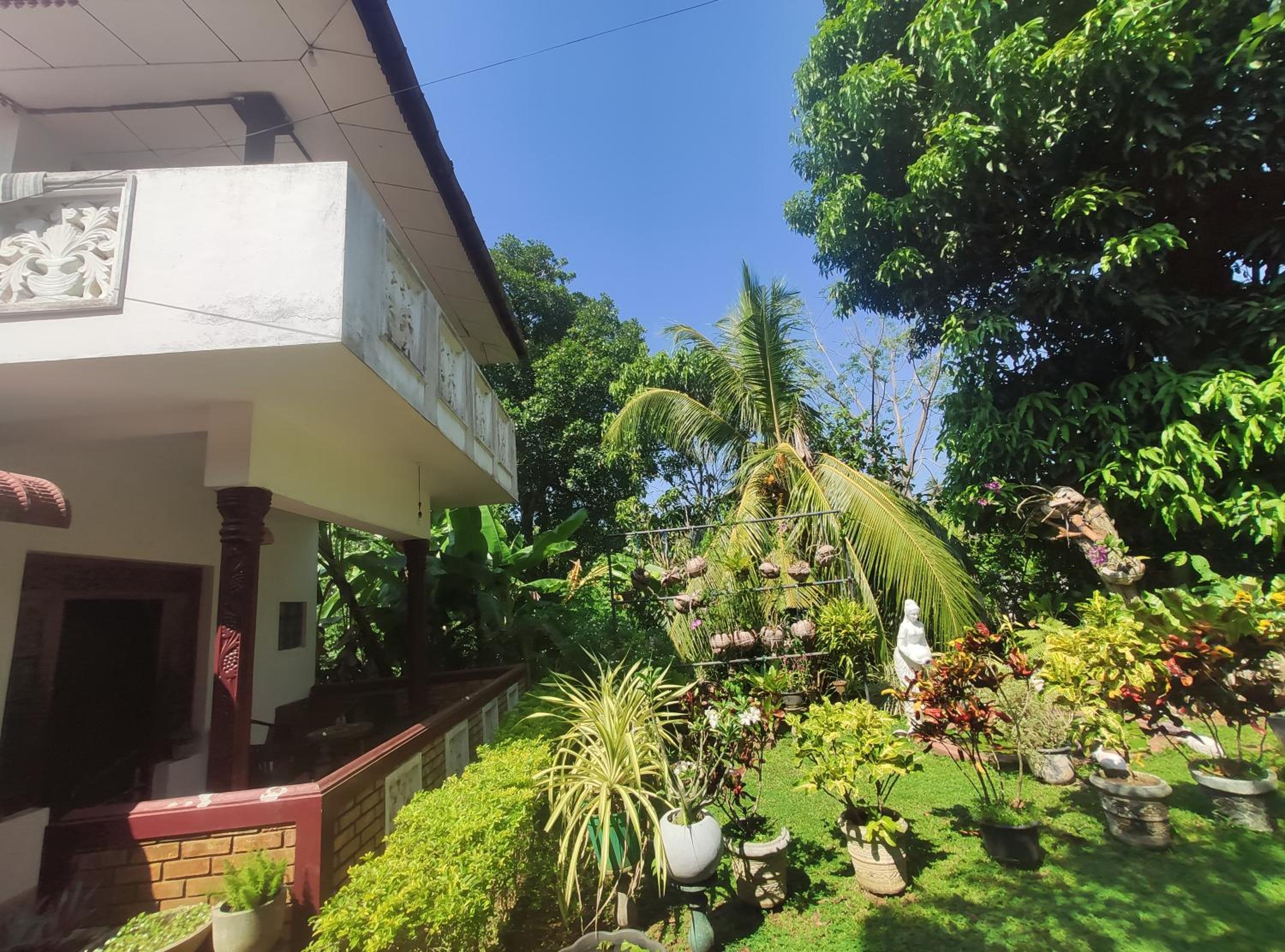 Bird House Homestays