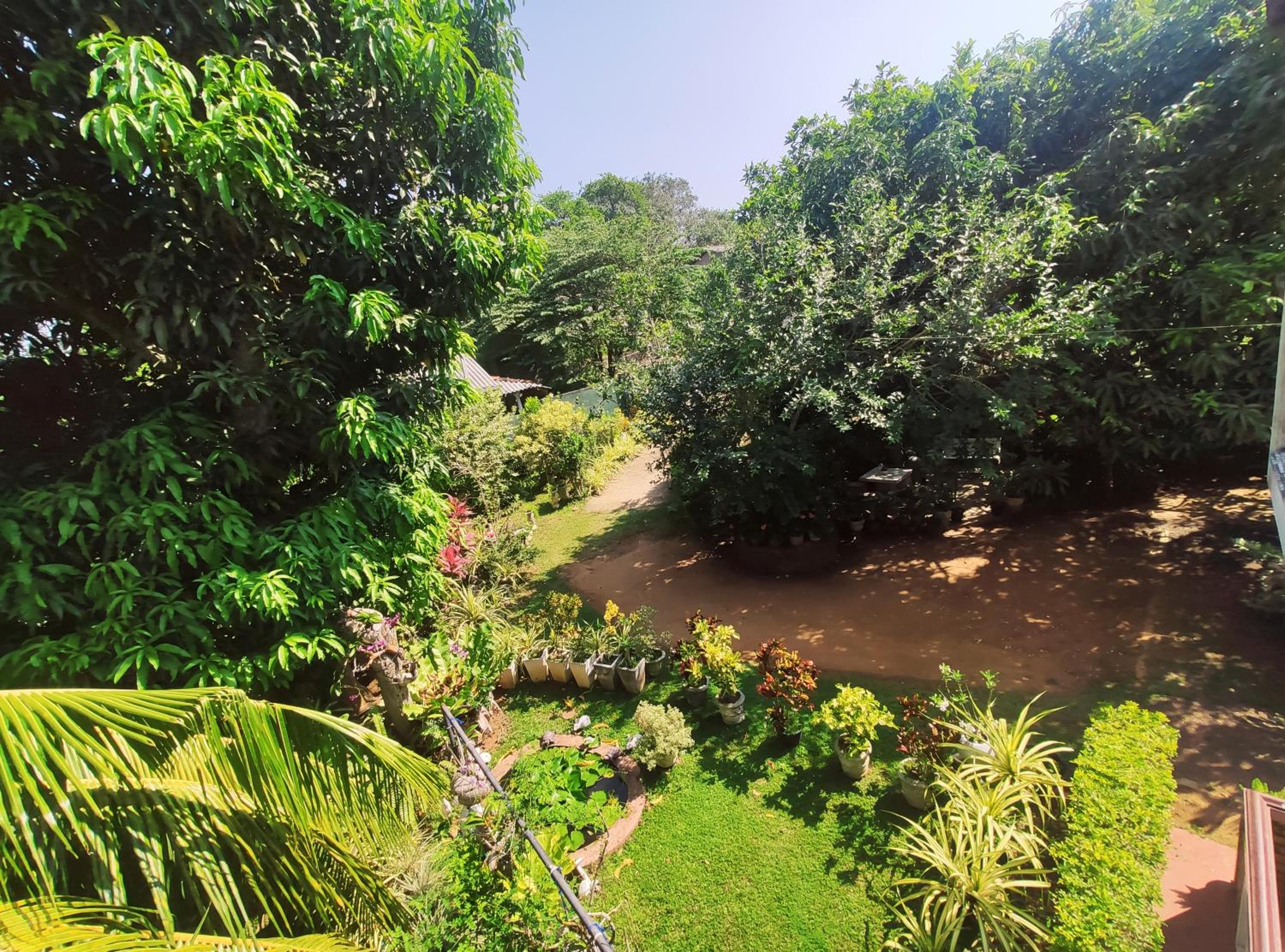 Bird House Homestays