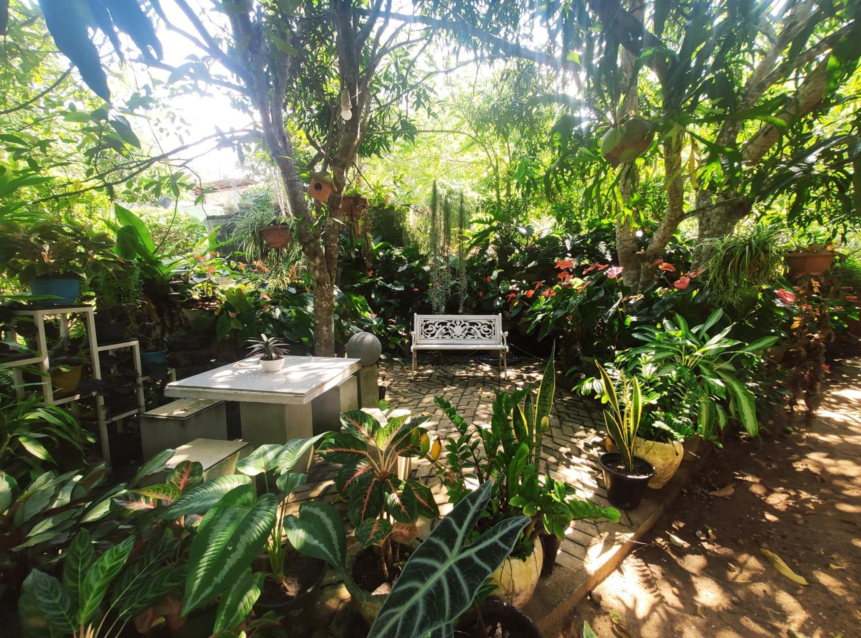 Bird House Homestays