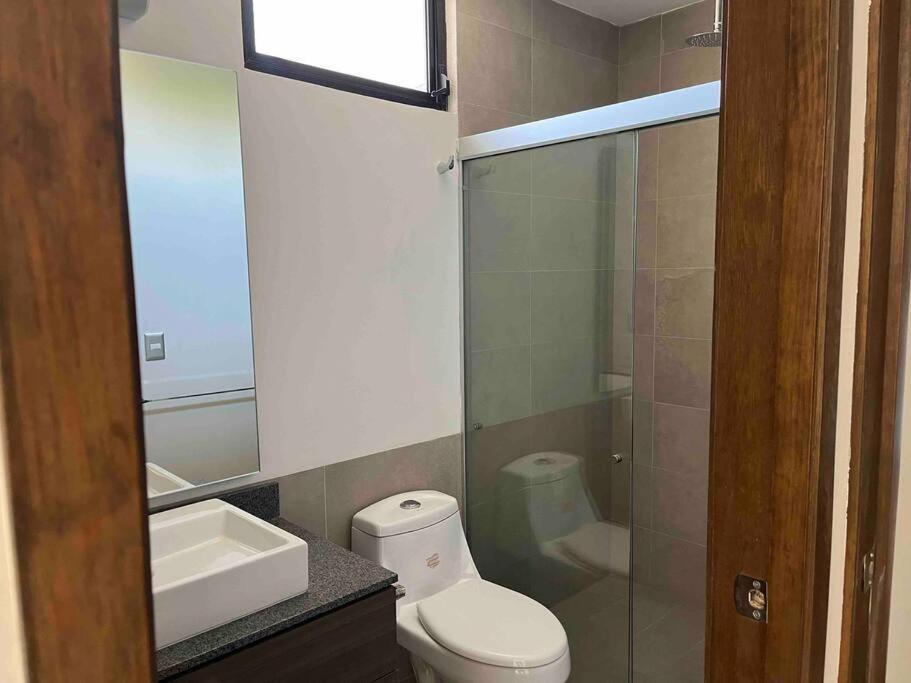 Elegante en zona financiera / Limpieza diaria