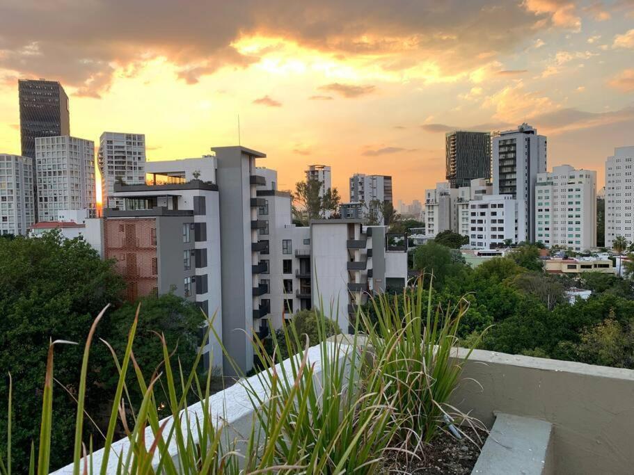 Elegante en zona financiera / Limpieza diaria