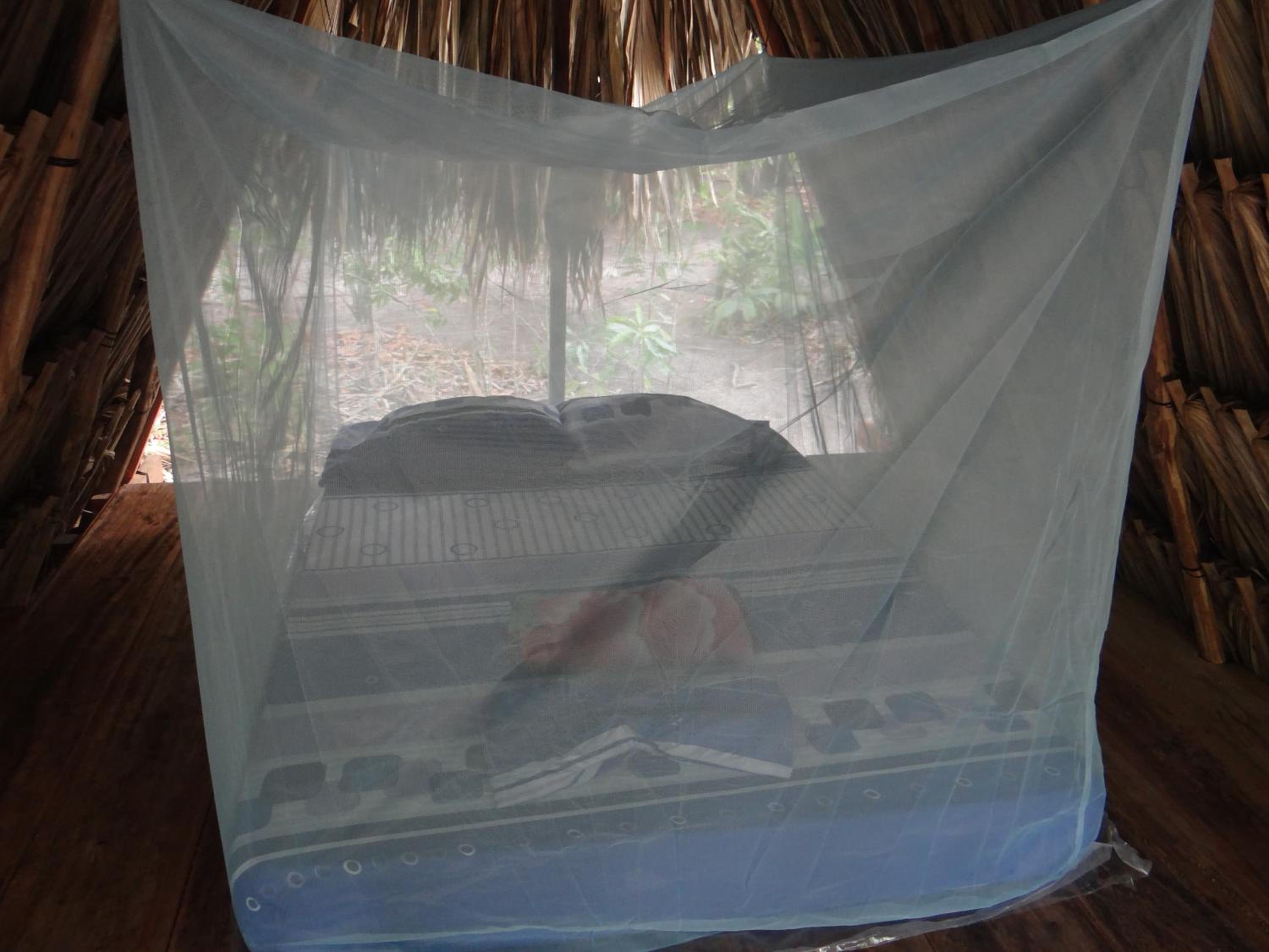 Photo 44