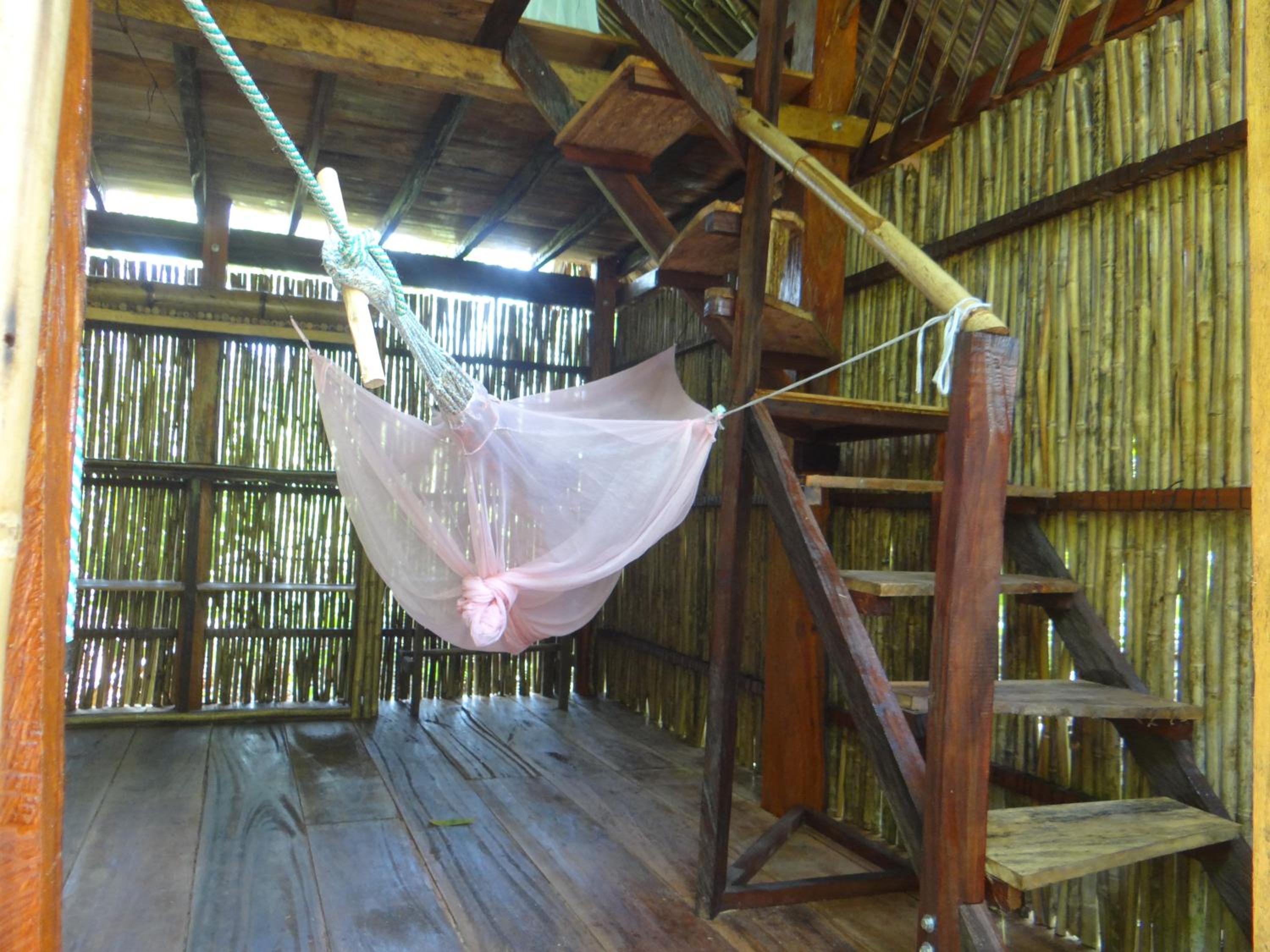 Photo 40