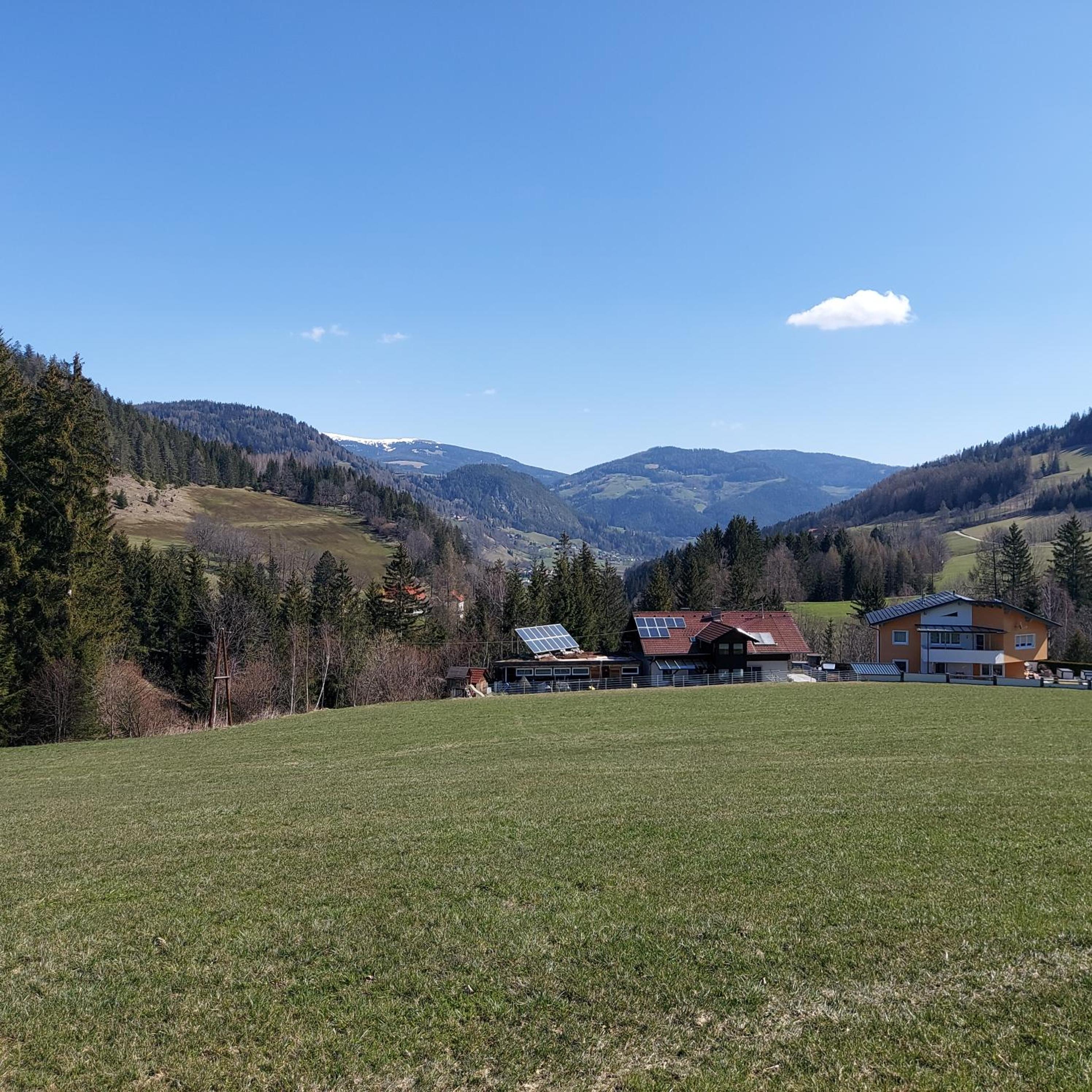 Greimblick