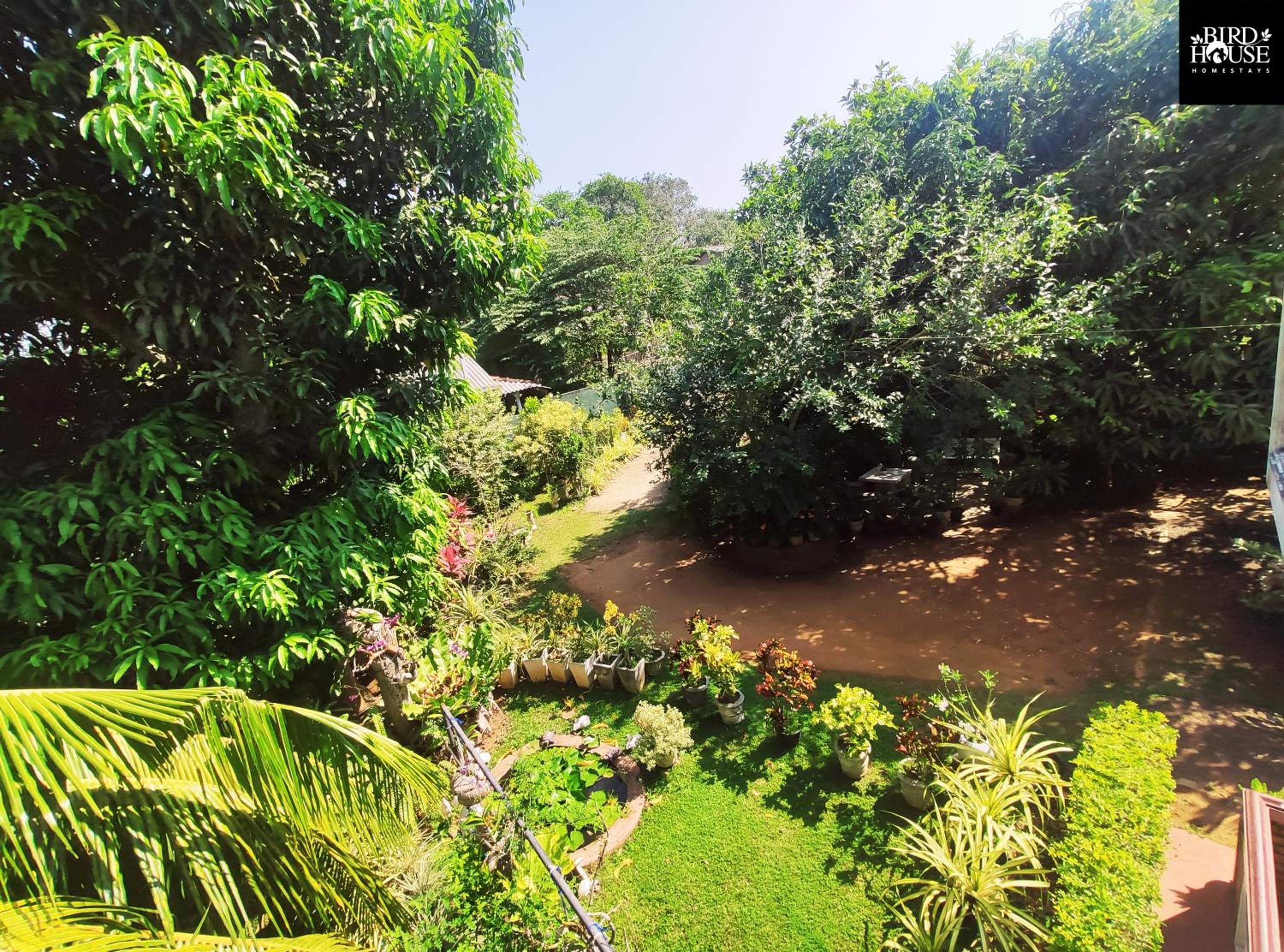 Bird House Homestays