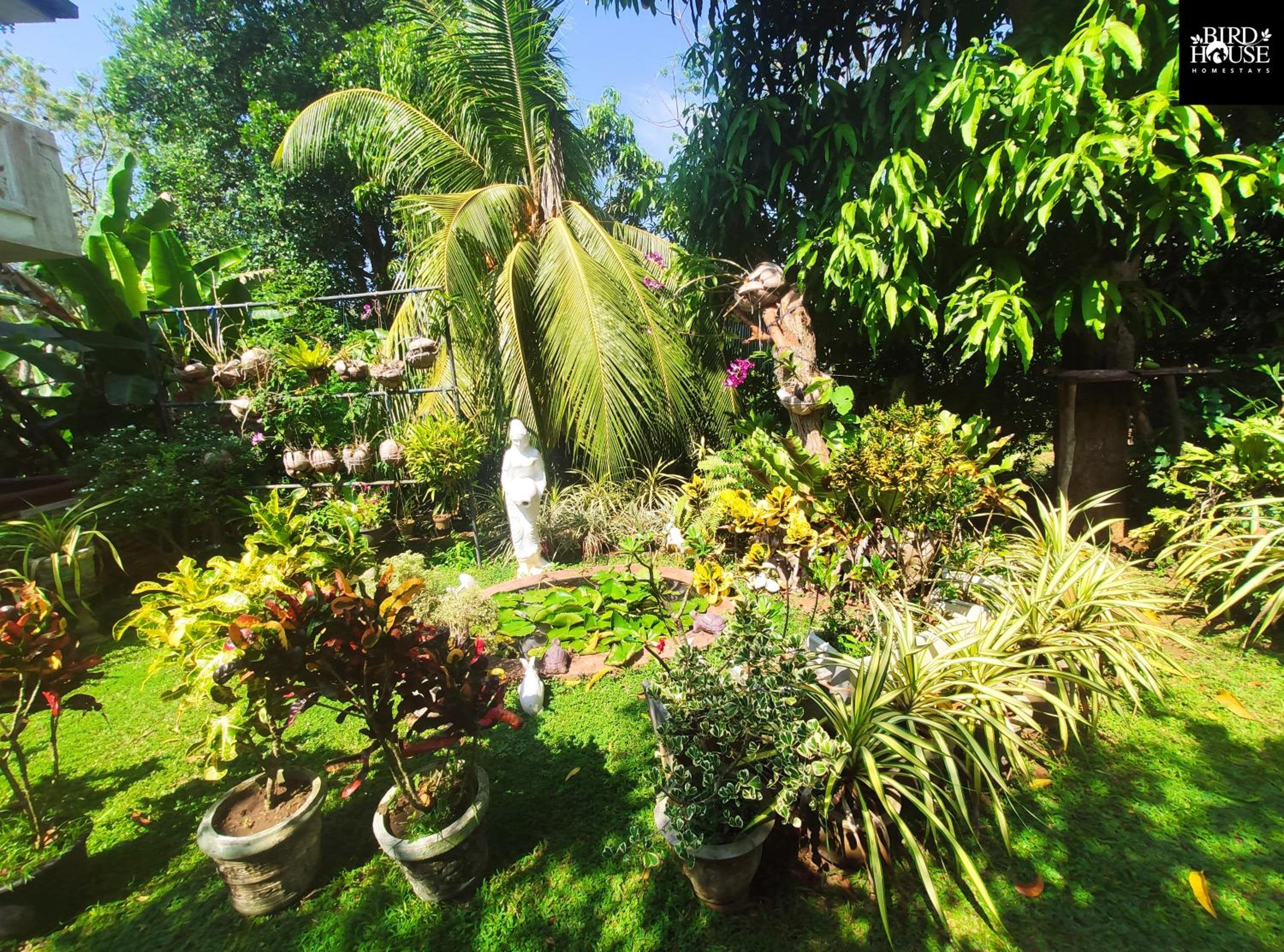 Bird House Homestays