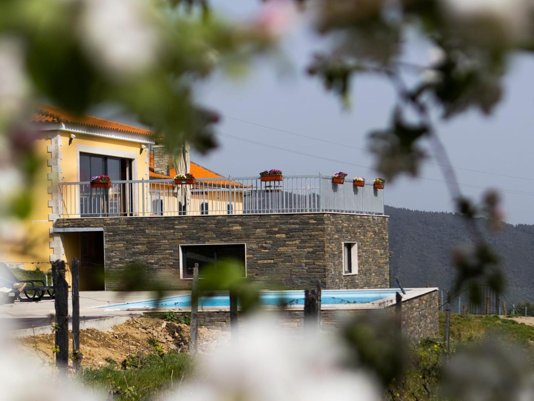 Quinta da Laceira - Douro Valley - Alojamento Local view 4