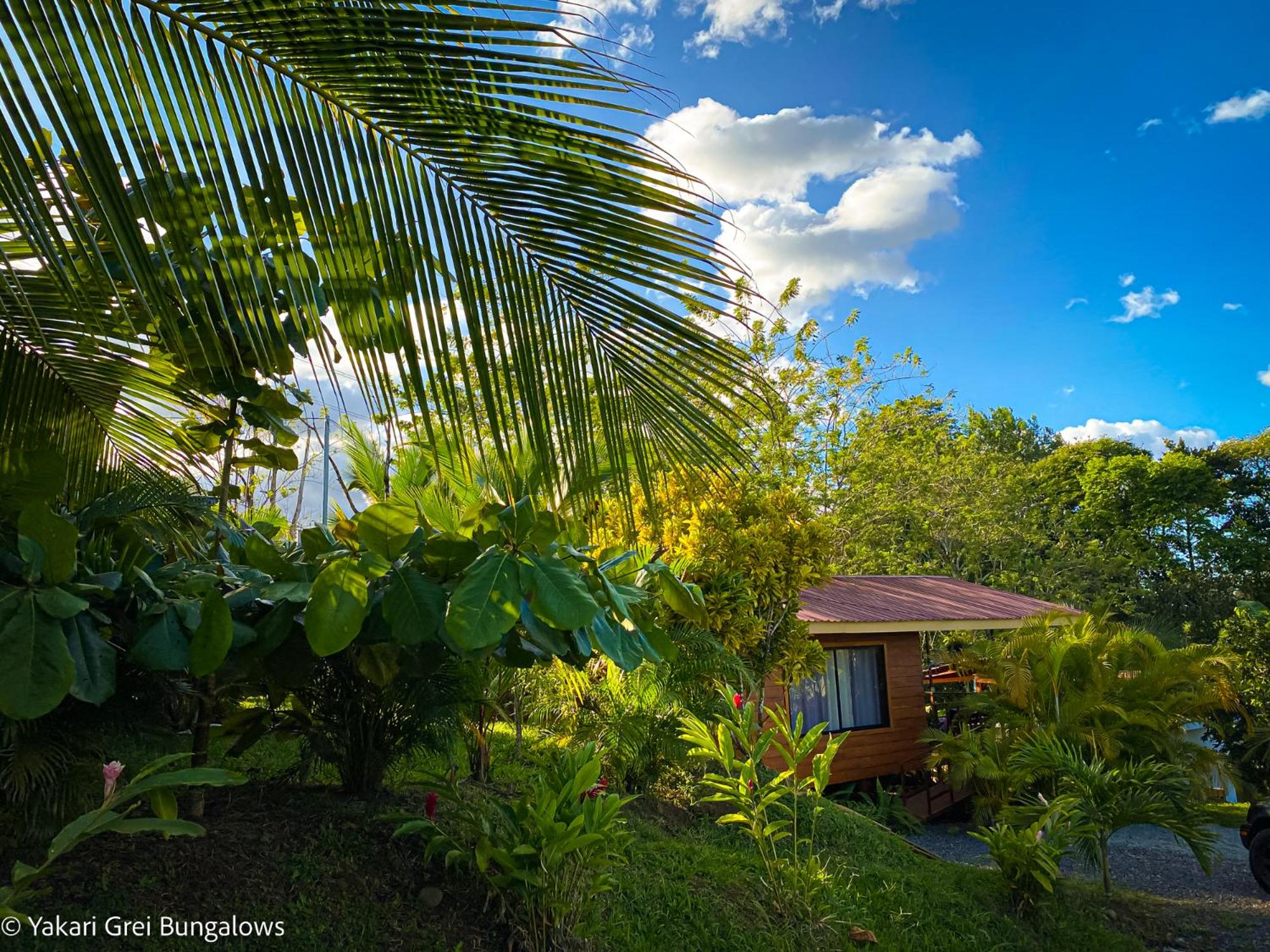 Bungalows Yakari Grei