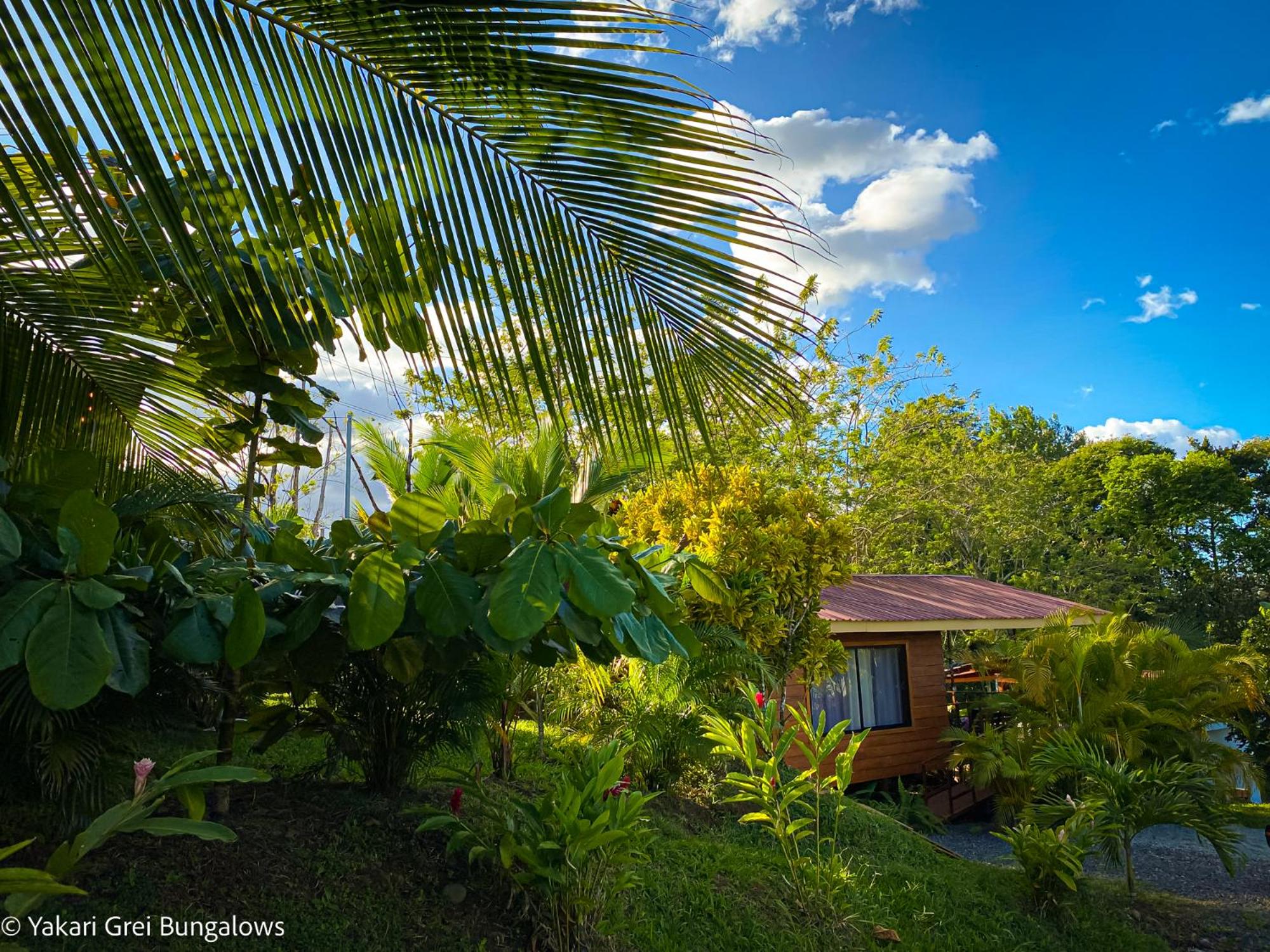 Bungalows Yakari Grei