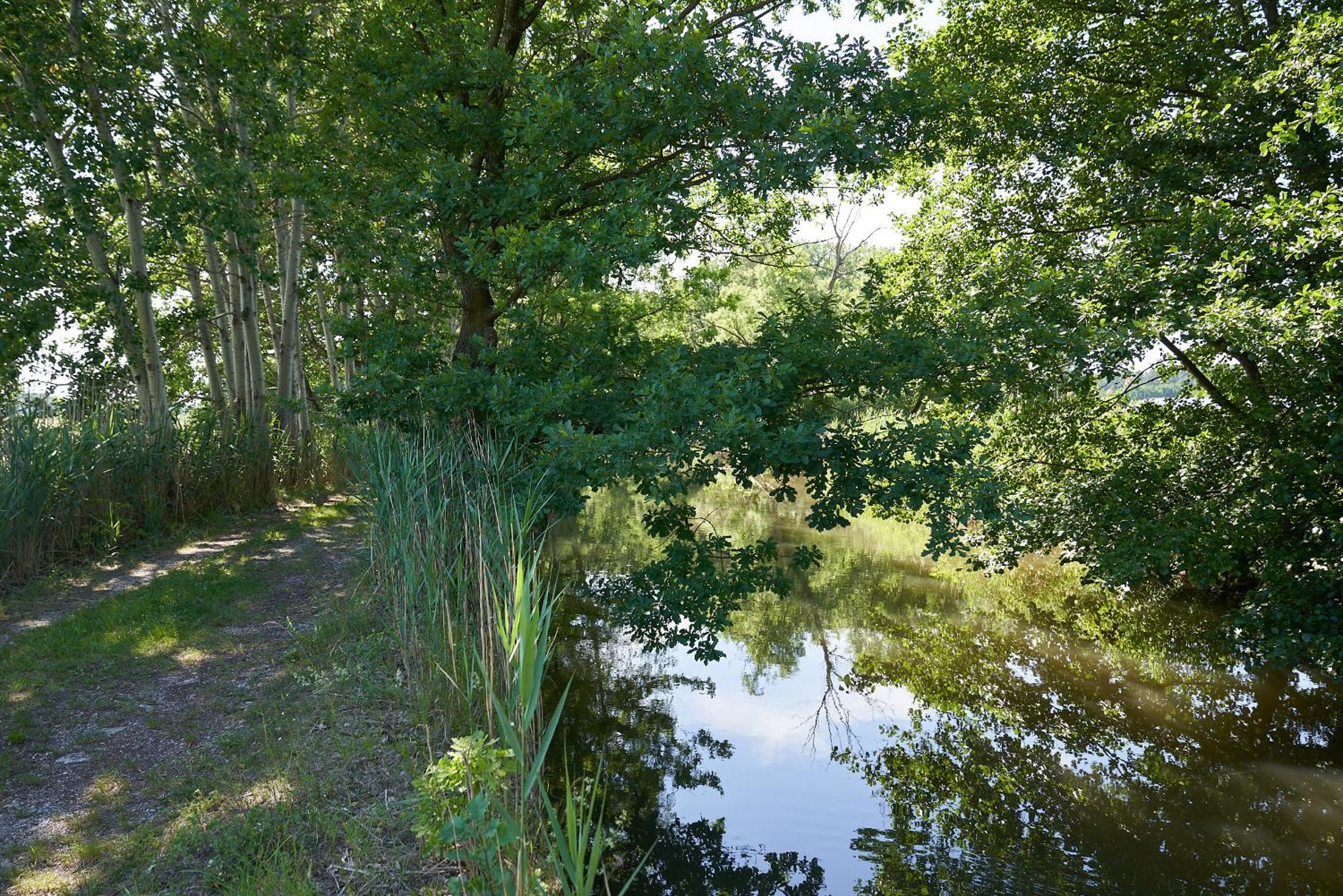 Wohnen am Wasserschloss Sandizell