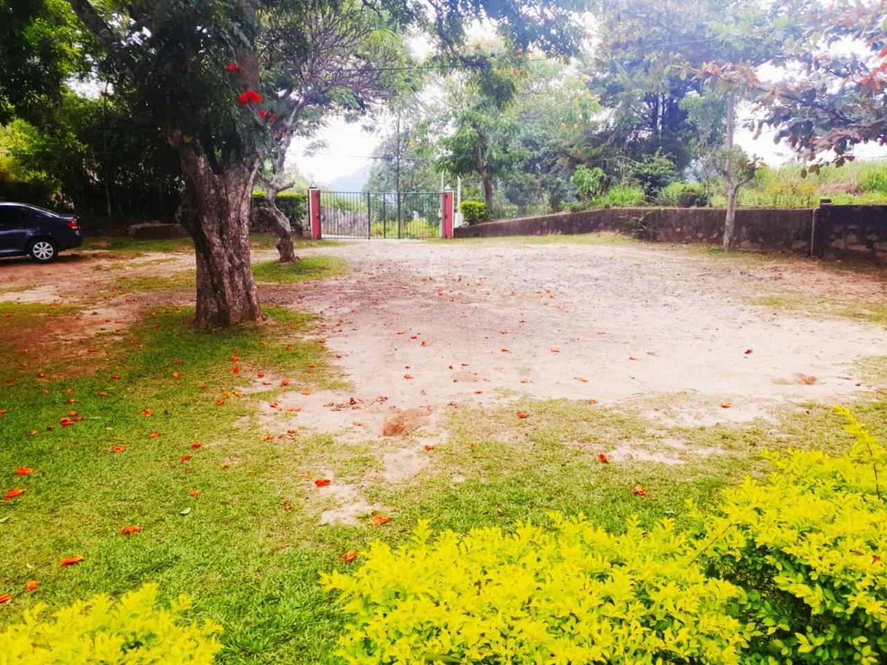 Ambiente Guest House