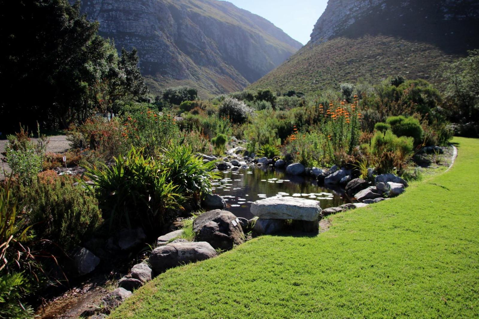 SEA WAY SELFCATERING ACCOMMODATION BETTYS BAY view 5