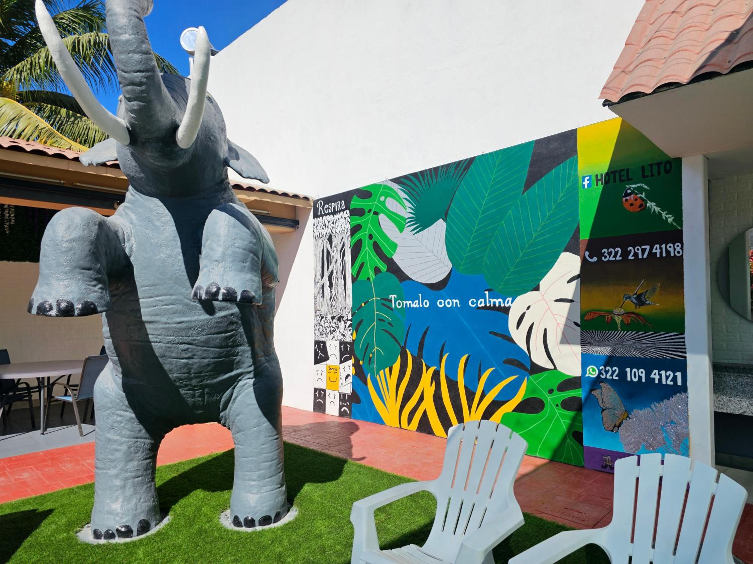 Hotel lito - Property Image 13