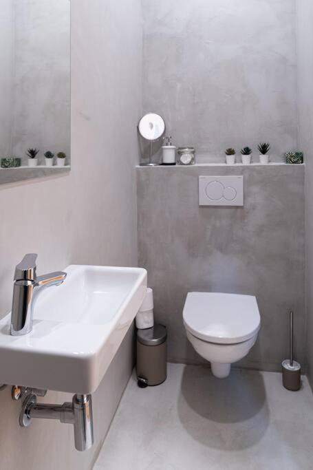 Sauna Apartment - Brno(x) Cejl