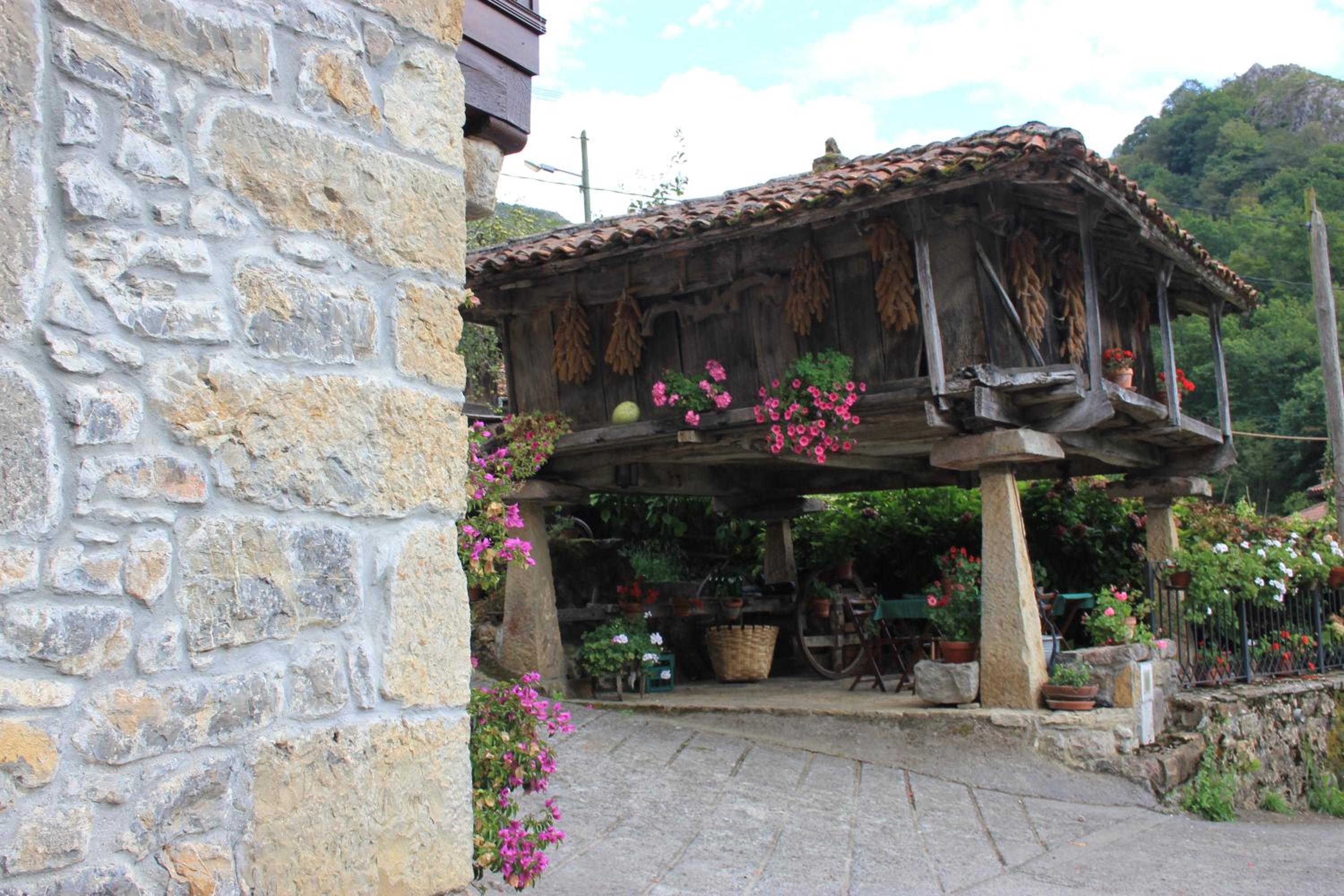El Colladín
