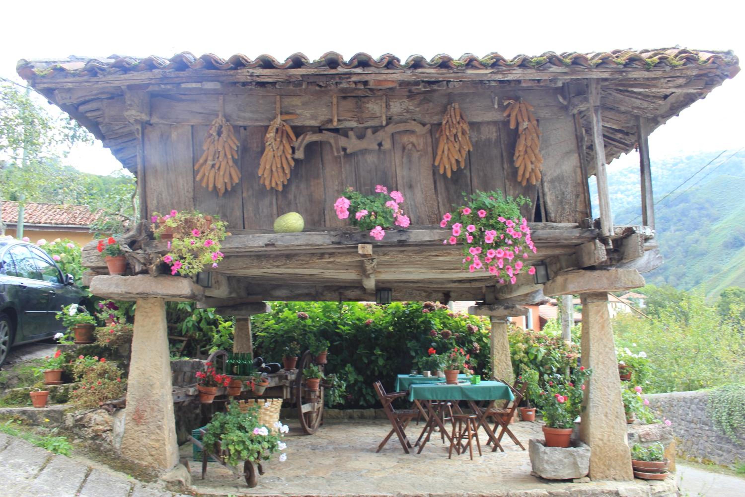 El Colladín