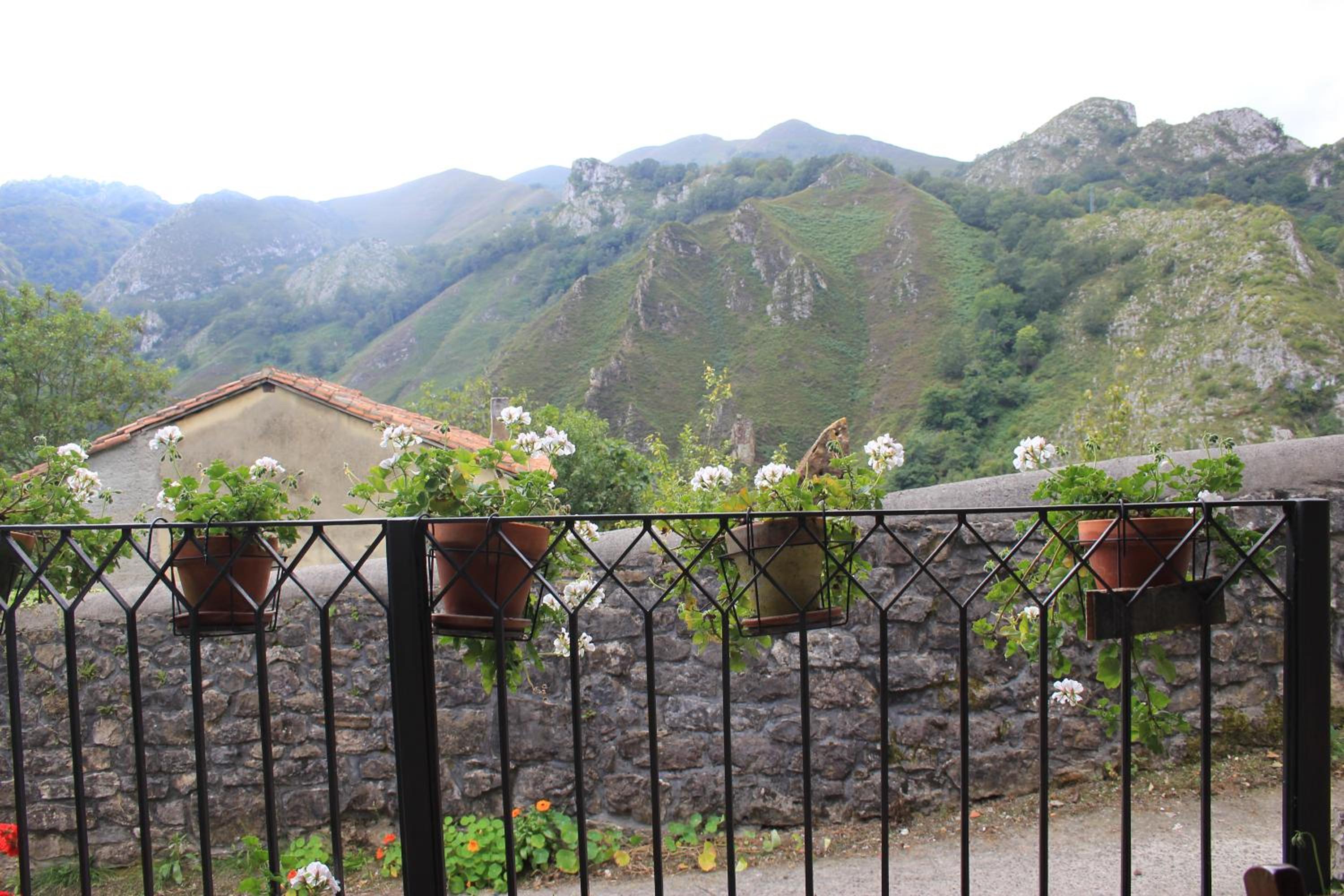 El Colladín