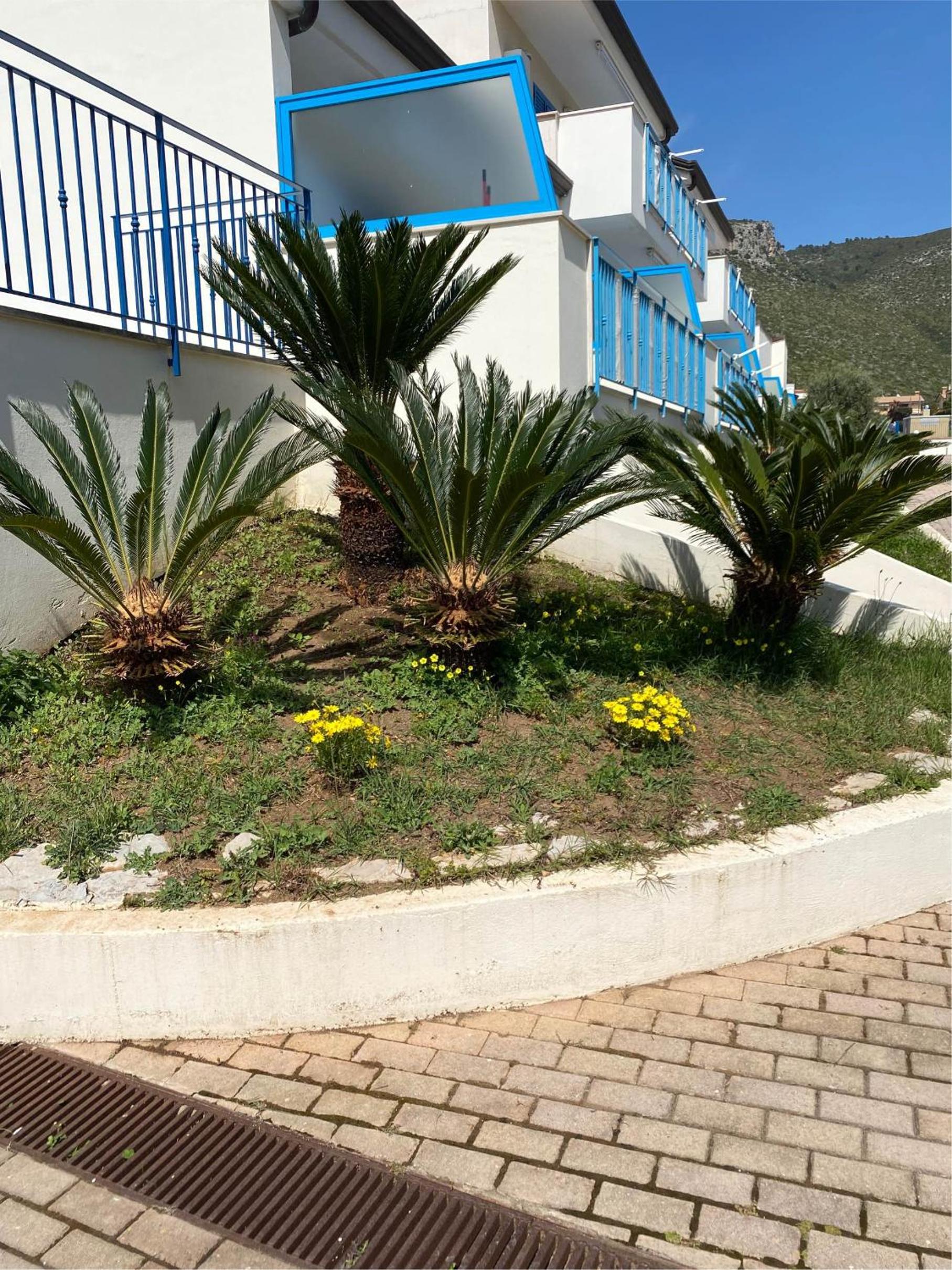 Photo 47