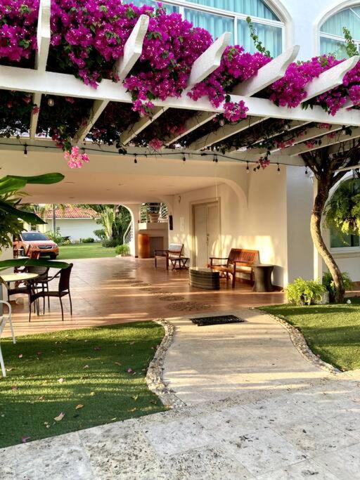 Amazing Beachfront Villa - Palm House view 2
