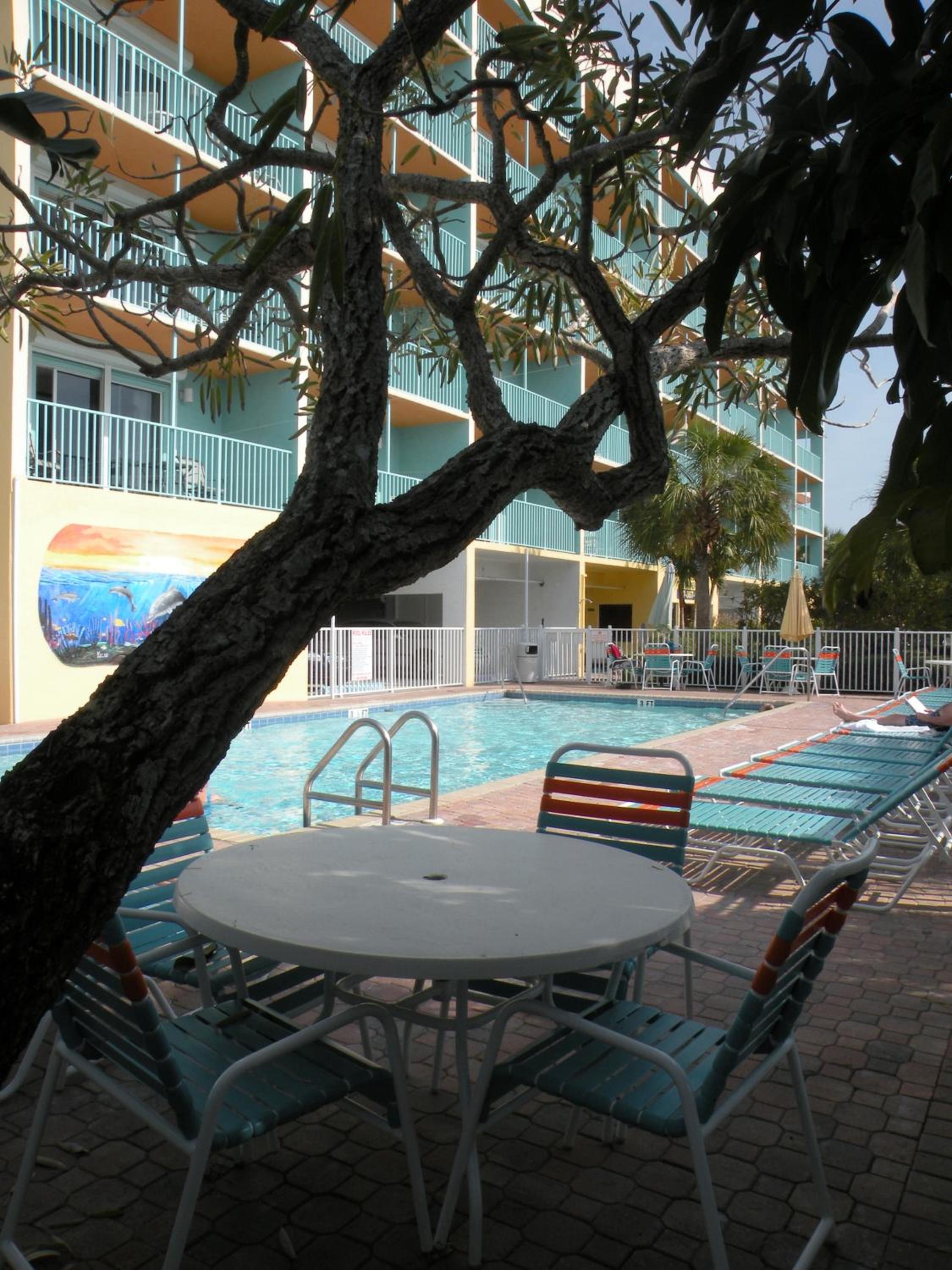 South Beach Oceanfront Resort view 5