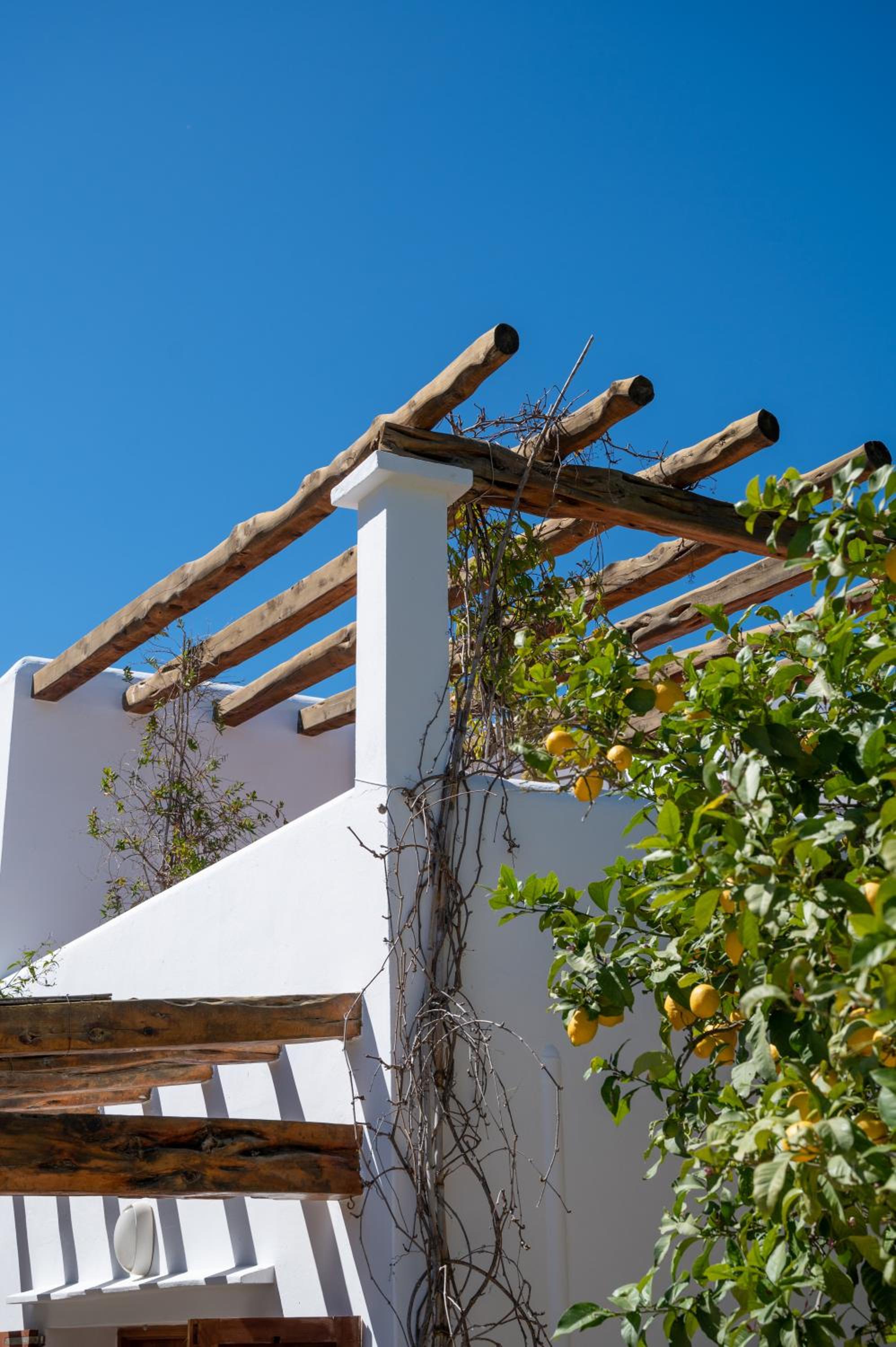 Valley Club Ibiza - Boutique Agroturismo