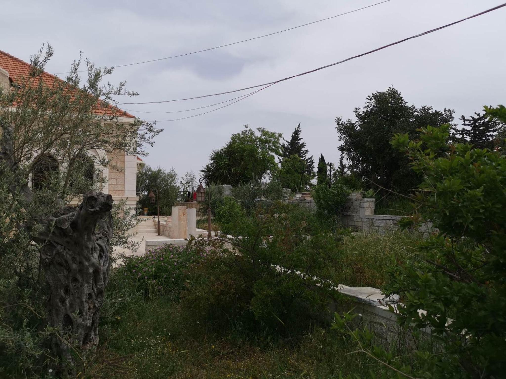 Photo 14