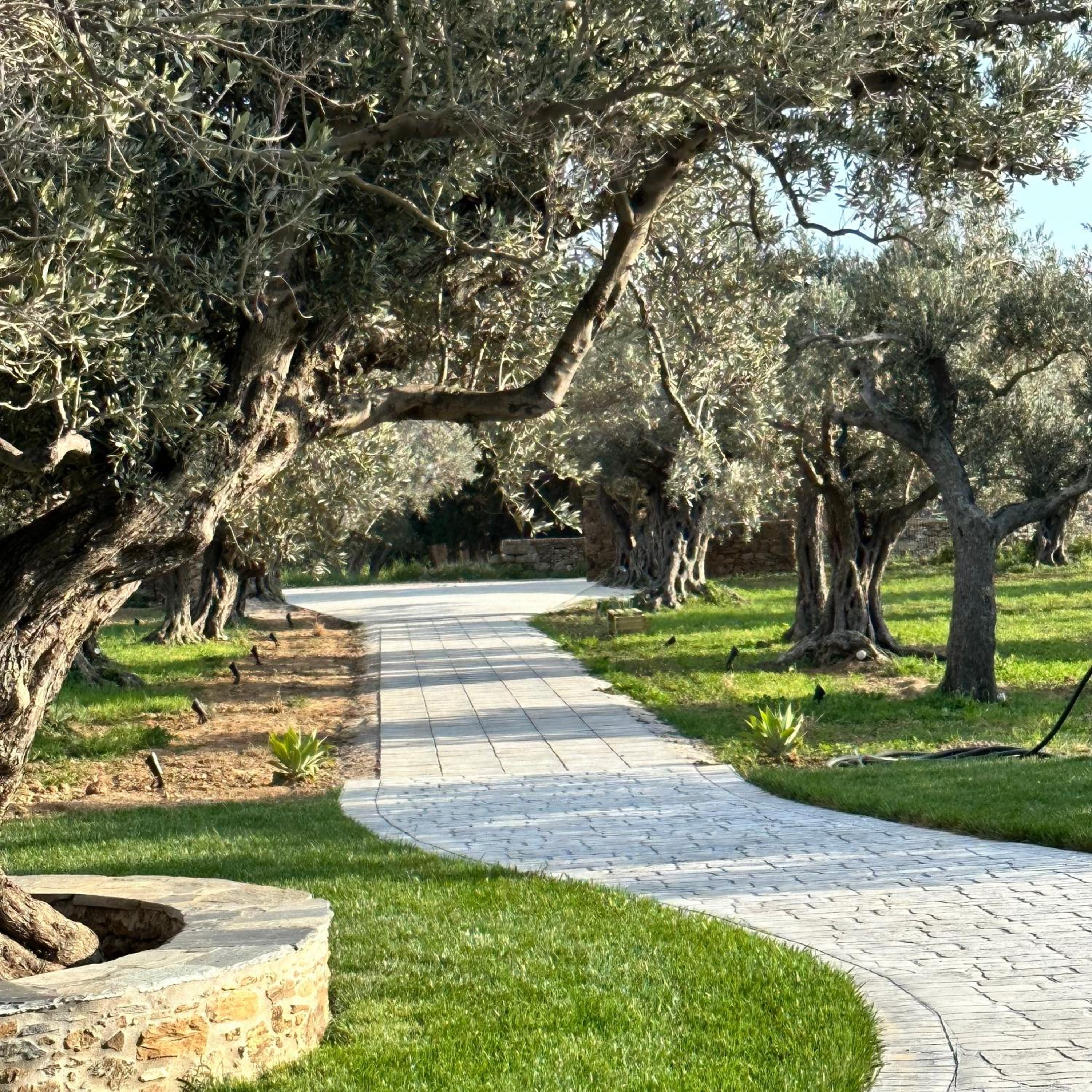 Peristerionas Estate