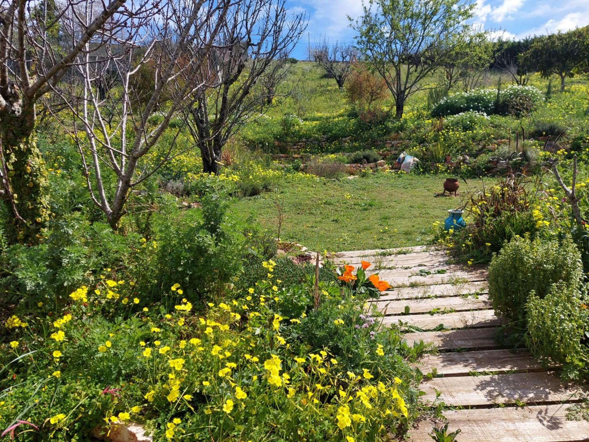 Quinta TreeWindBee view 4
