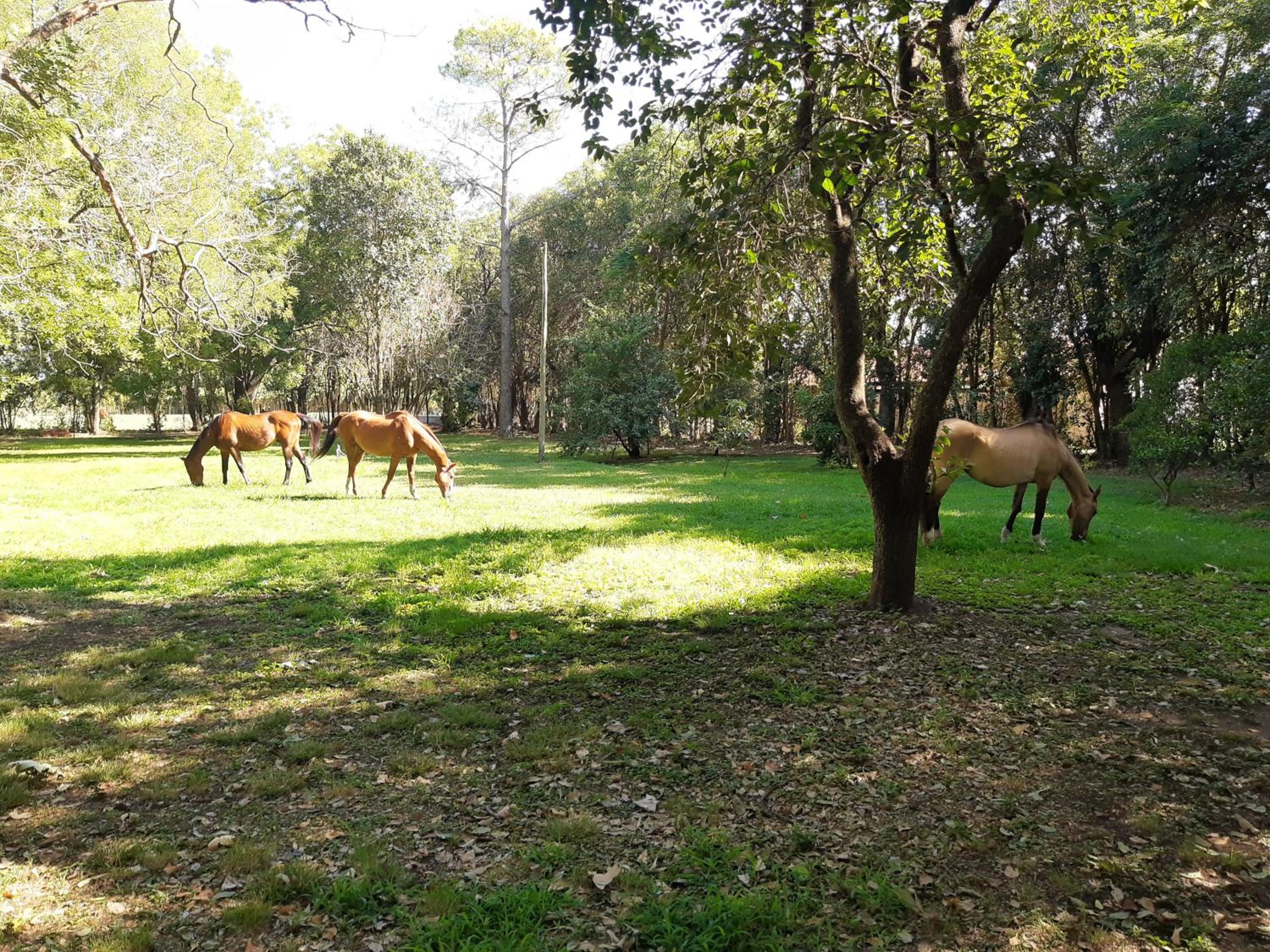 Casa de campo Spaequino La Colorada