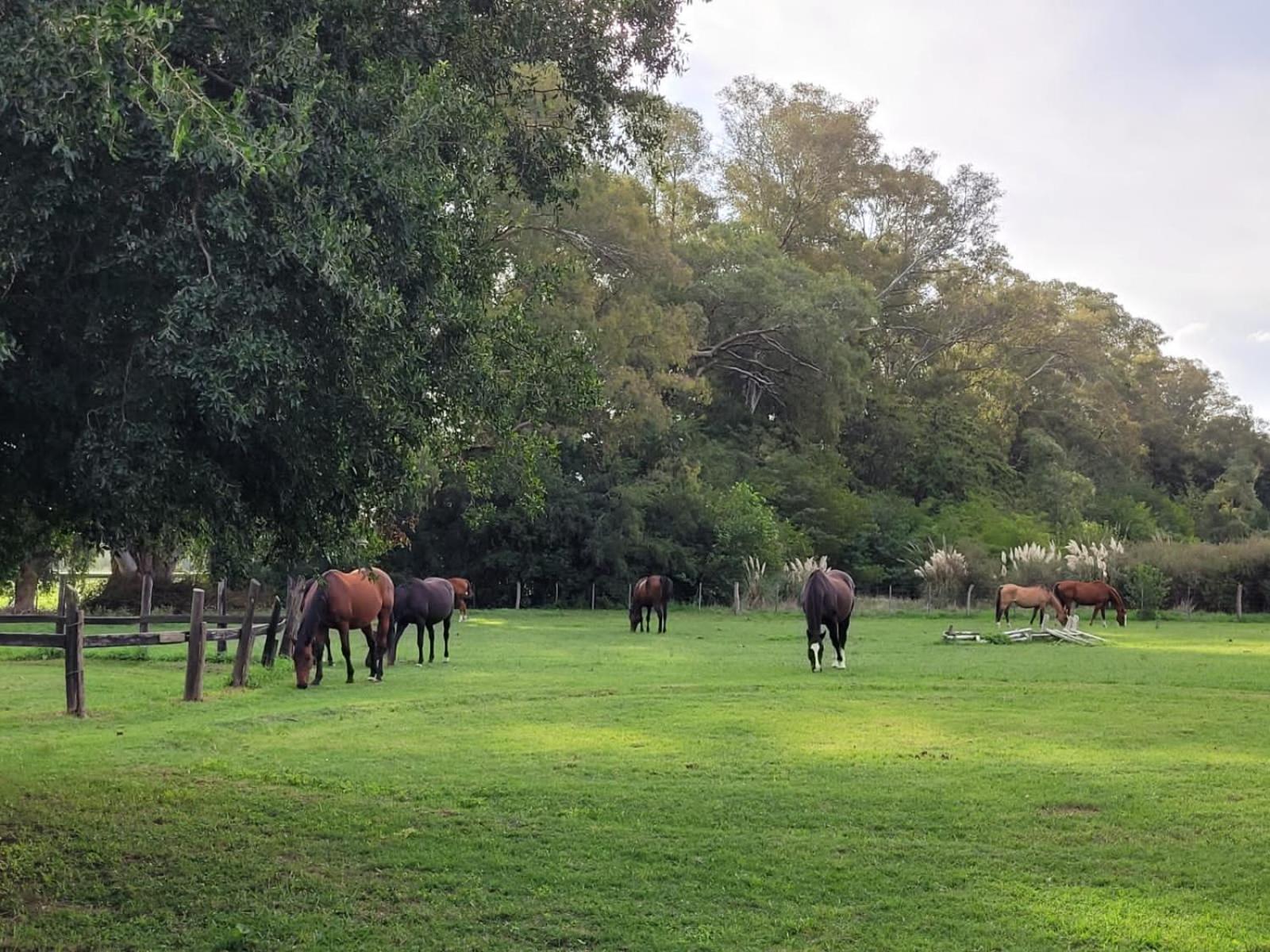 Casa de campo Spaequino La Colorada