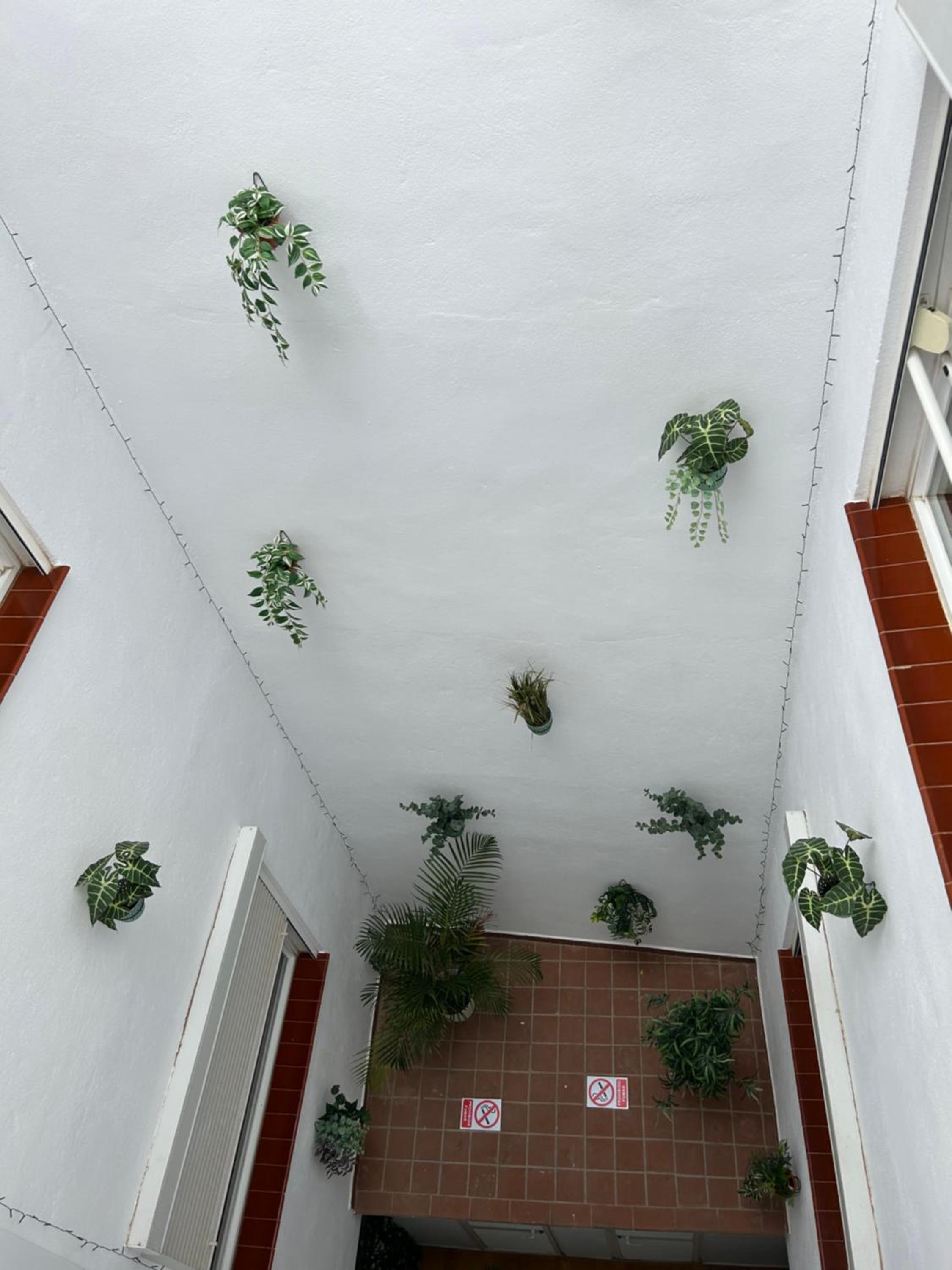 Plz de la Merced Apartamentos Solera