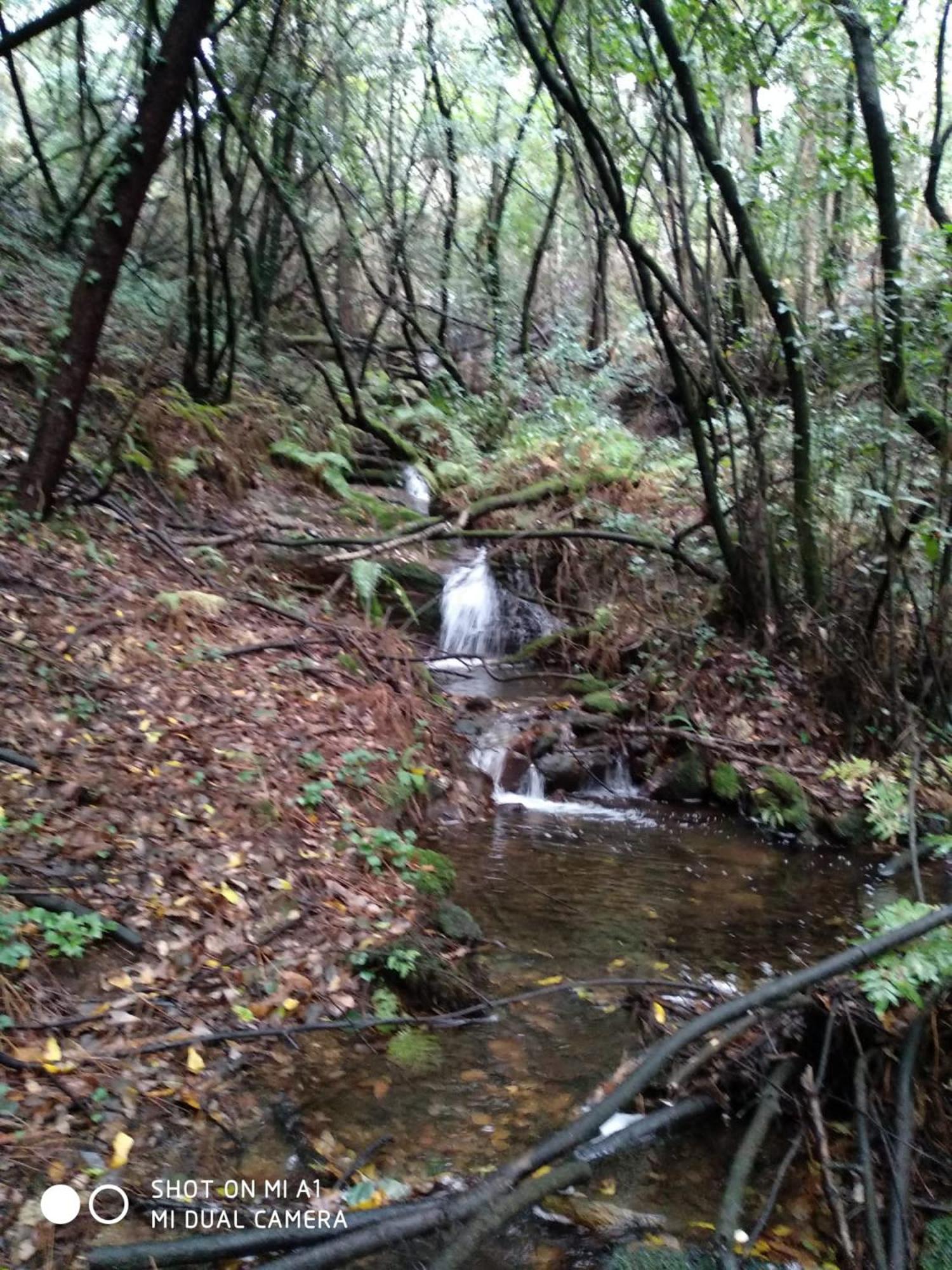 CASA DE VERDES Turismo Rural