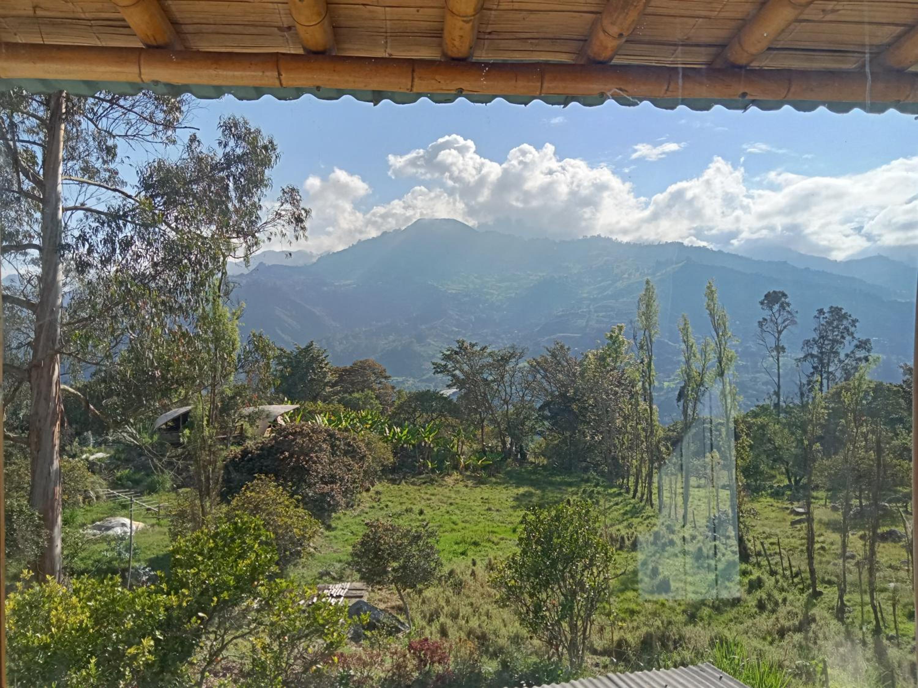 HOSTAL CASA DE GUADUA/ THE BAMBOO HOUSE