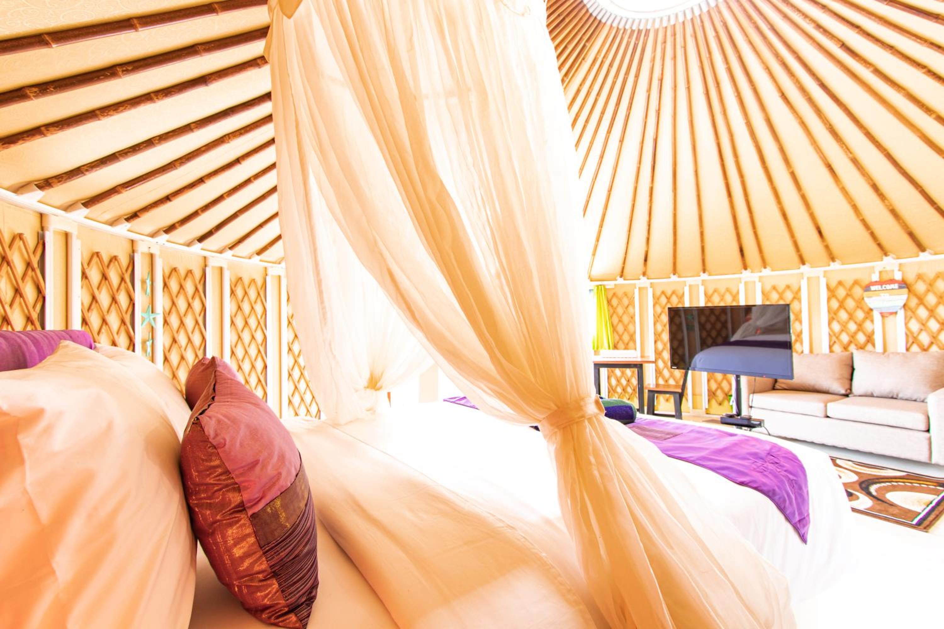 Photo 118