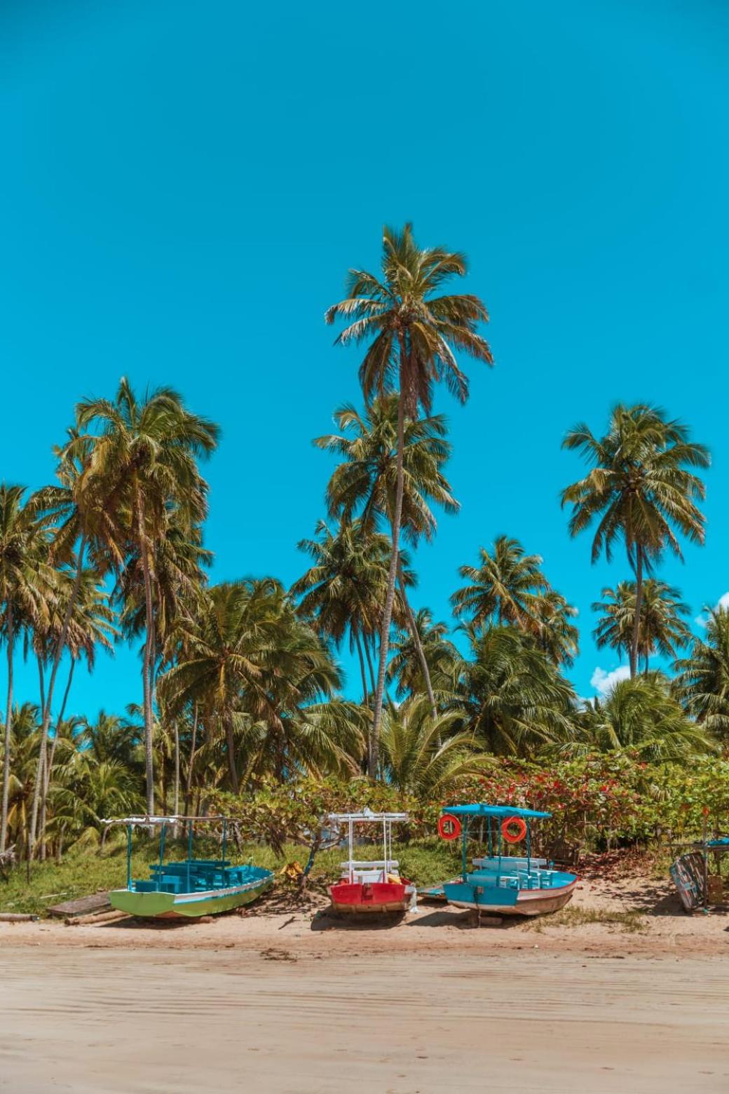 Photo 108