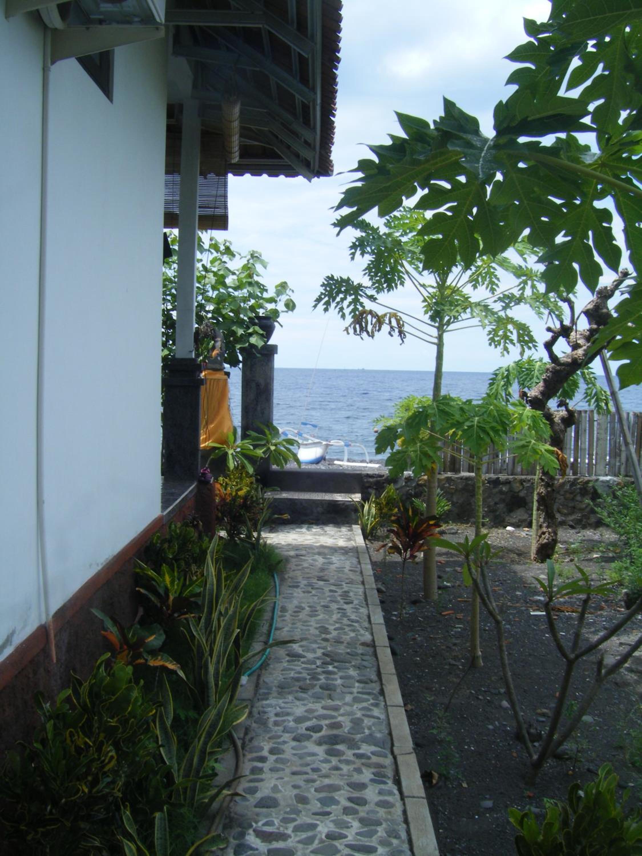 Photo 44